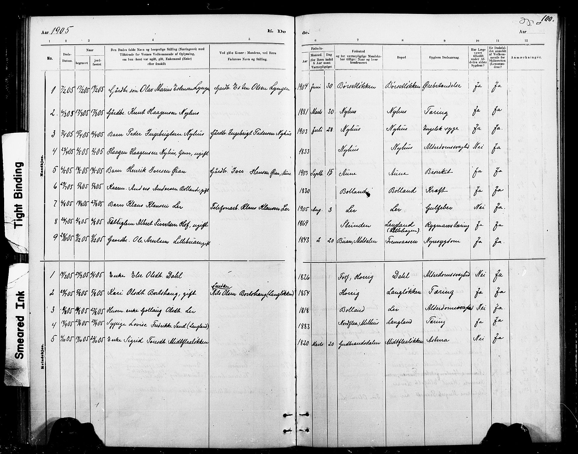 Ministerialprotokoller, klokkerbøker og fødselsregistre - Sør-Trøndelag, SAT/A-1456/693/L1123: Parish register (copy) no. 693C04, 1887-1910, p. 100