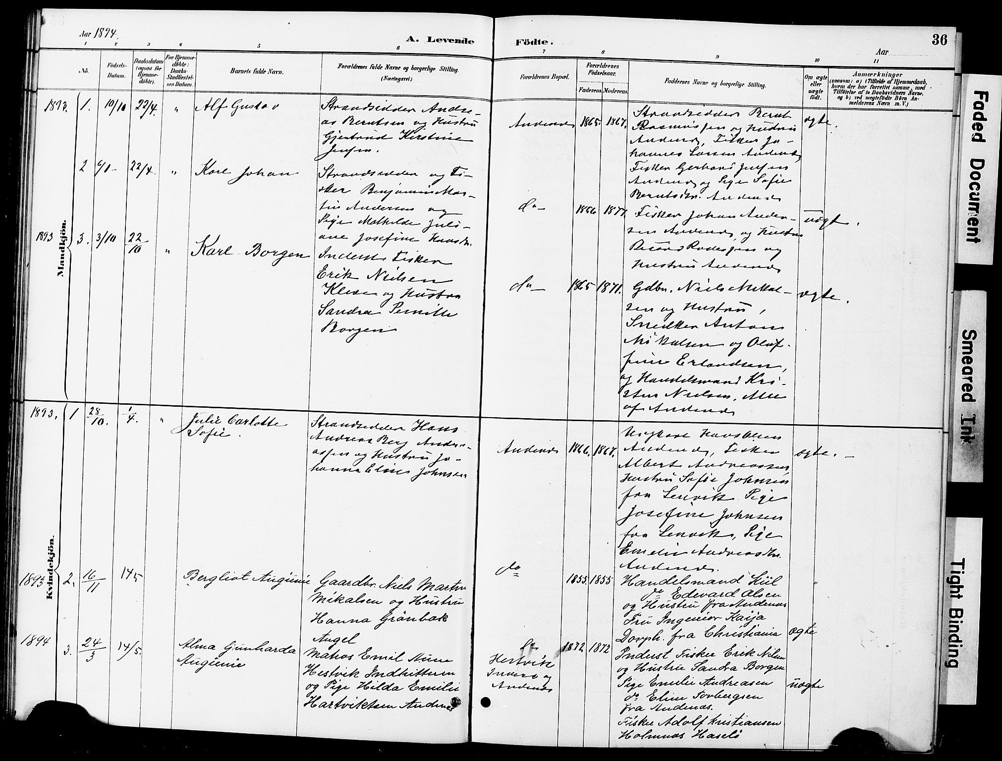 Ministerialprotokoller, klokkerbøker og fødselsregistre - Nordland, AV/SAT-A-1459/899/L1448: Parish register (copy) no. 899C03, 1887-1902, p. 36