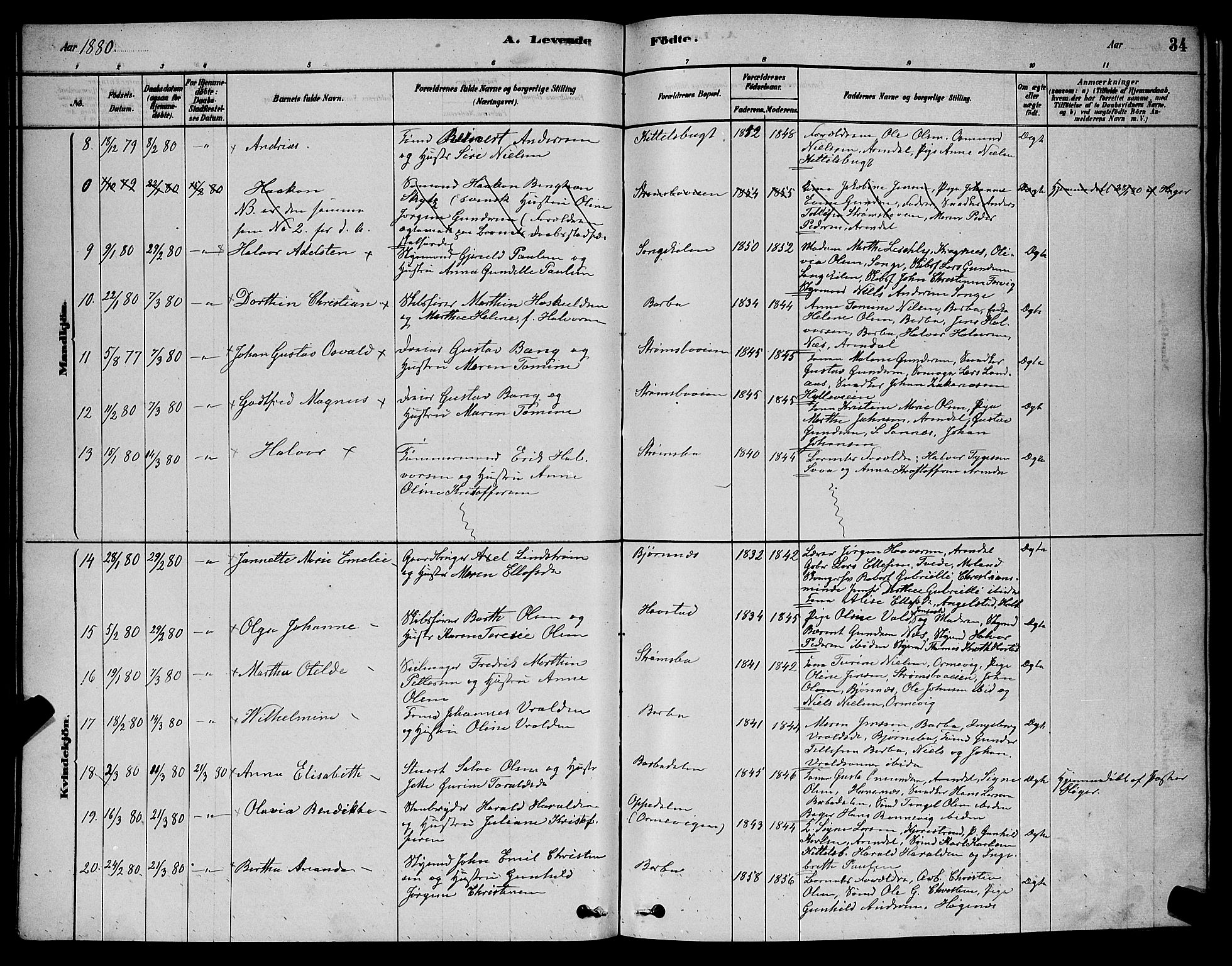 Barbu sokneprestkontor, AV/SAK-1111-0003/F/Fb/L0001: Parish register (copy) no. B 1, 1878-1890, p. 34