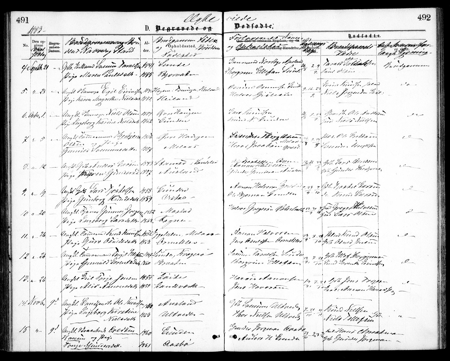 Gjerstad sokneprestkontor, AV/SAK-1111-0014/F/Fa/Faa/L0008: Parish register (official) no. A 8, 1876-1884, p. 491-492