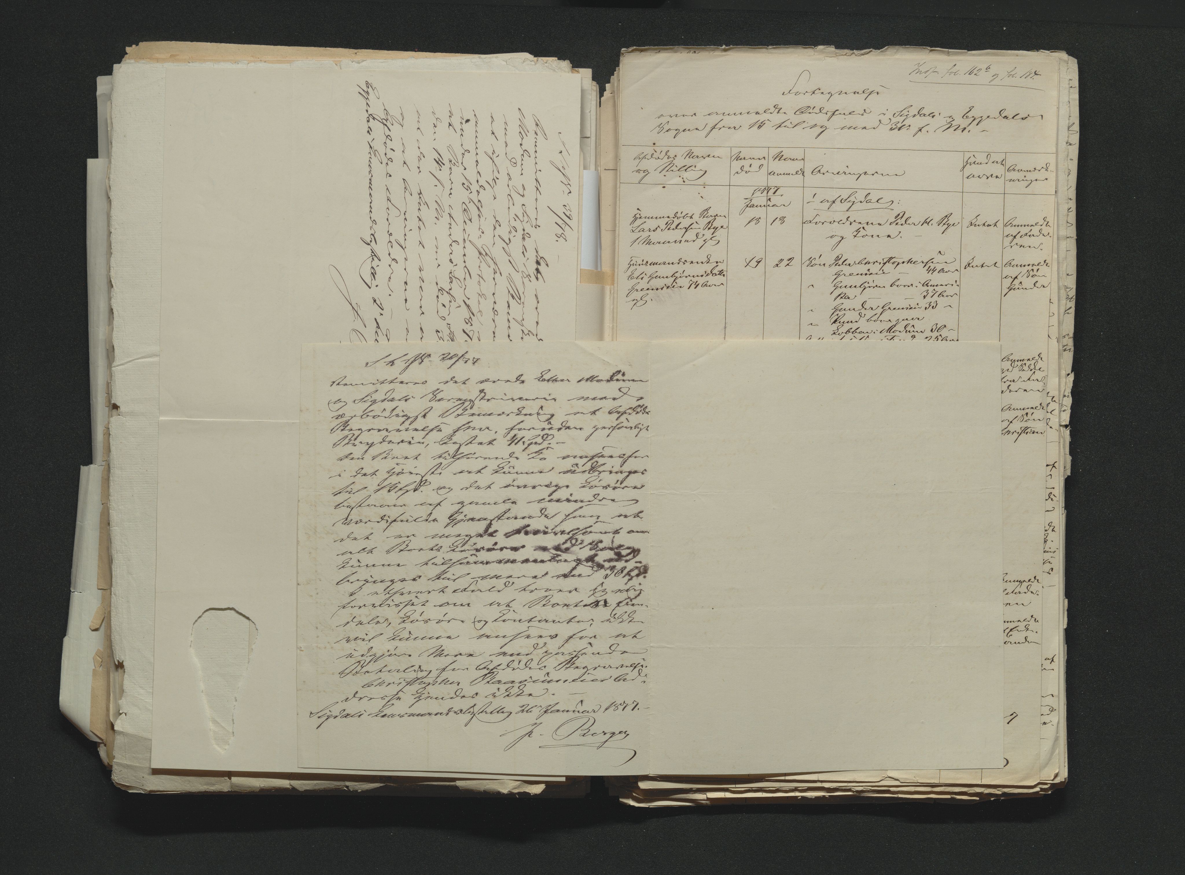 Eiker, Modum og Sigdal sorenskriveri, AV/SAKO-A-123/H/Ha/Hab/L0014: Dødsfallsmeldinger, 1874-1877, p. 694
