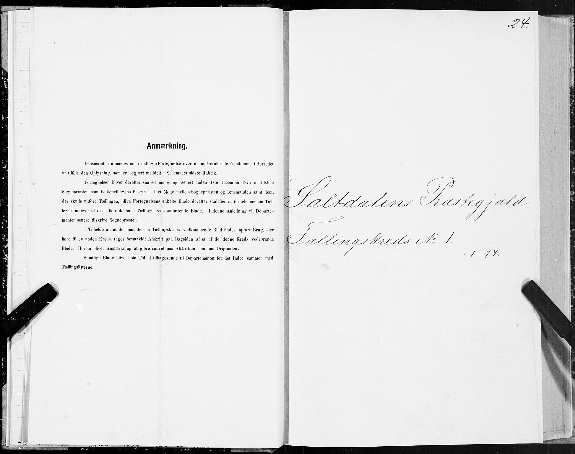 SAT, 1875 census for 1840P Saltdal, 1875, p. 1024