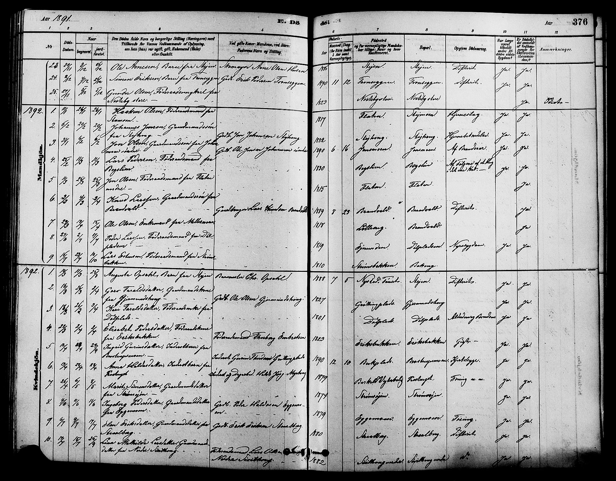 Alvdal prestekontor, AV/SAH-PREST-060/H/Ha/Hab/L0003: Parish register (copy) no. 3, 1878-1907, p. 376