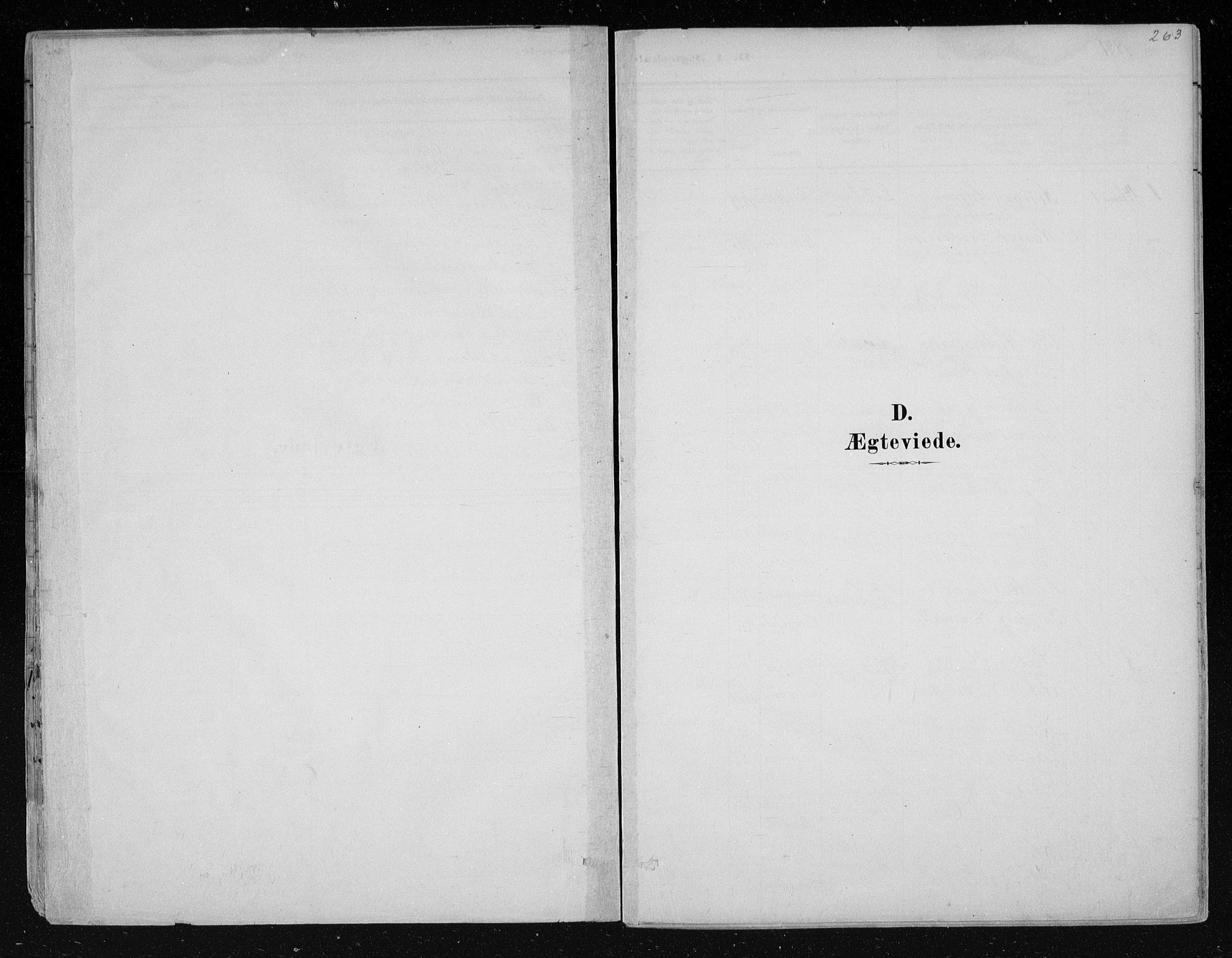 Nes kirkebøker, SAKO/A-236/F/Fa/L0011: Parish register (official) no. 11, 1881-1912, p. 263