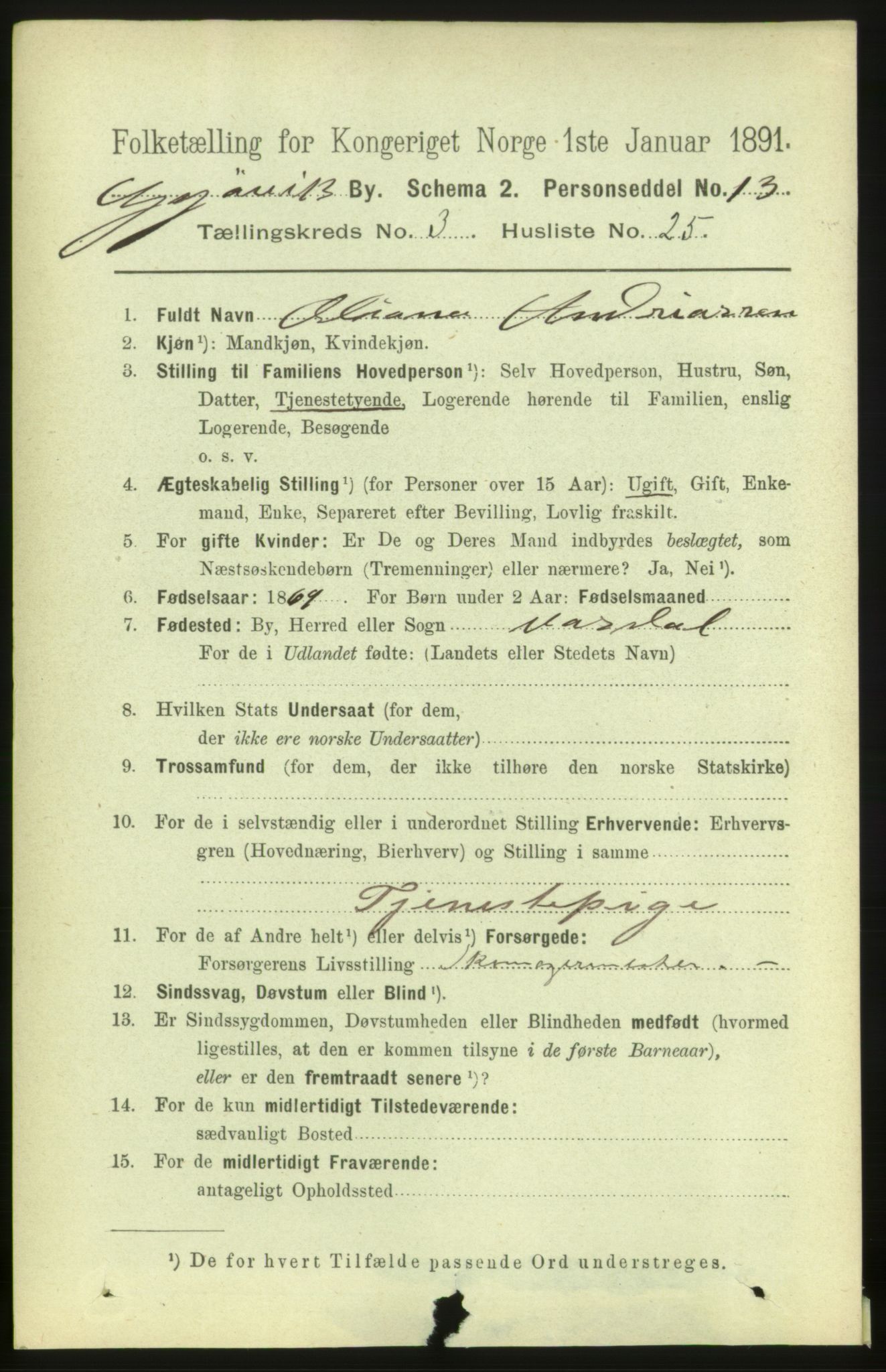 RA, 1891 census for 0502 Gjøvik, 1891, p. 1380