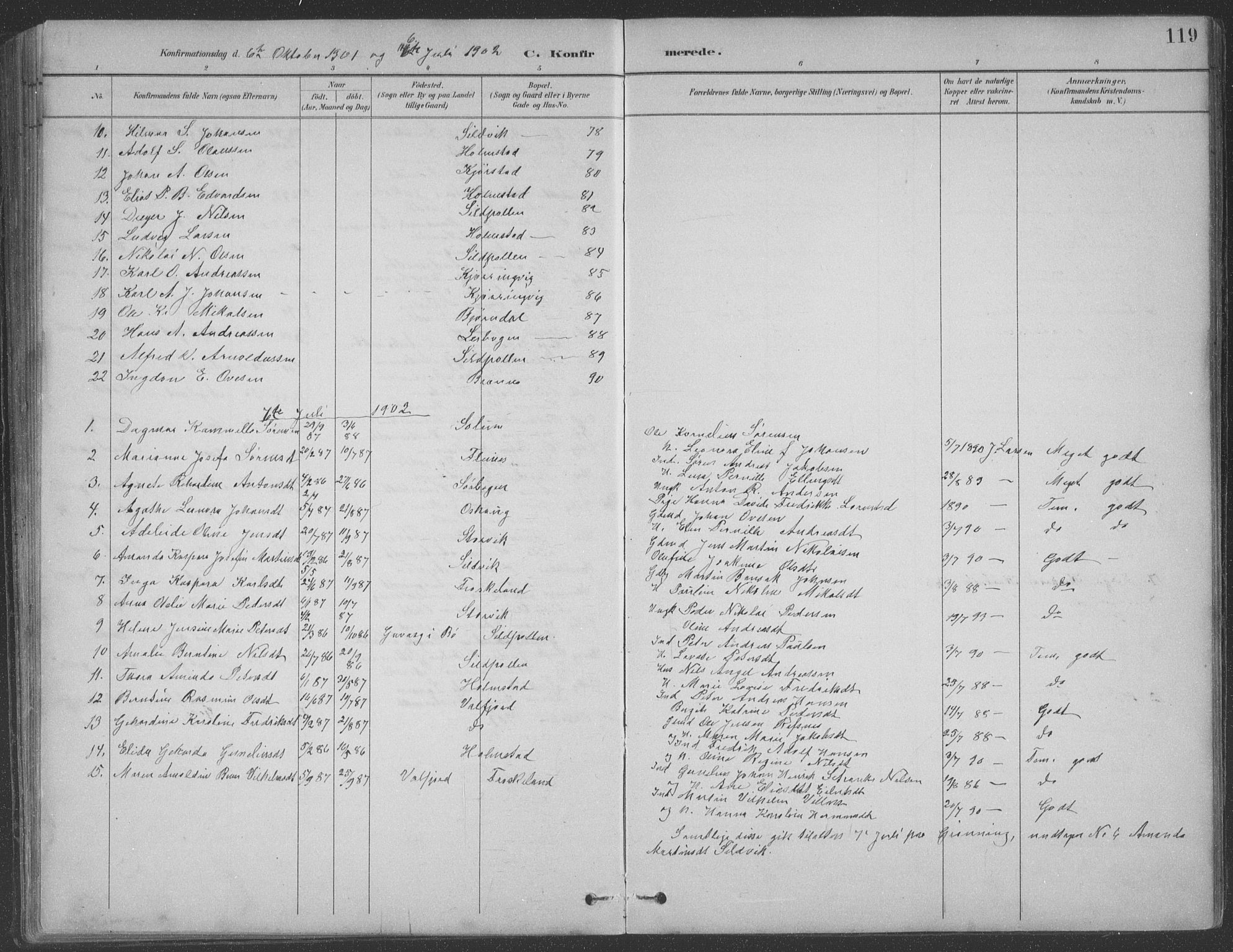 Ministerialprotokoller, klokkerbøker og fødselsregistre - Nordland, AV/SAT-A-1459/890/L1290: Parish register (copy) no. 890C01, 1882-1911, p. 119