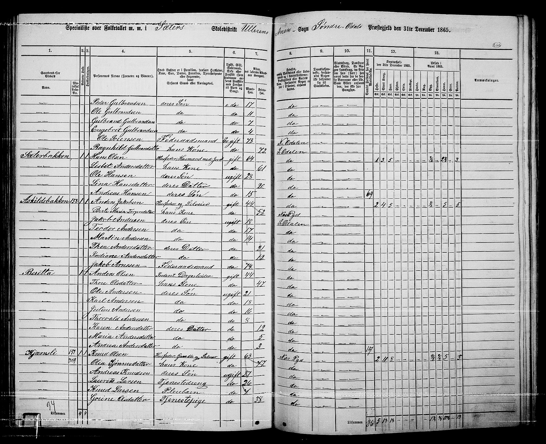 RA, 1865 census for Sør-Odal, 1865, p. 232