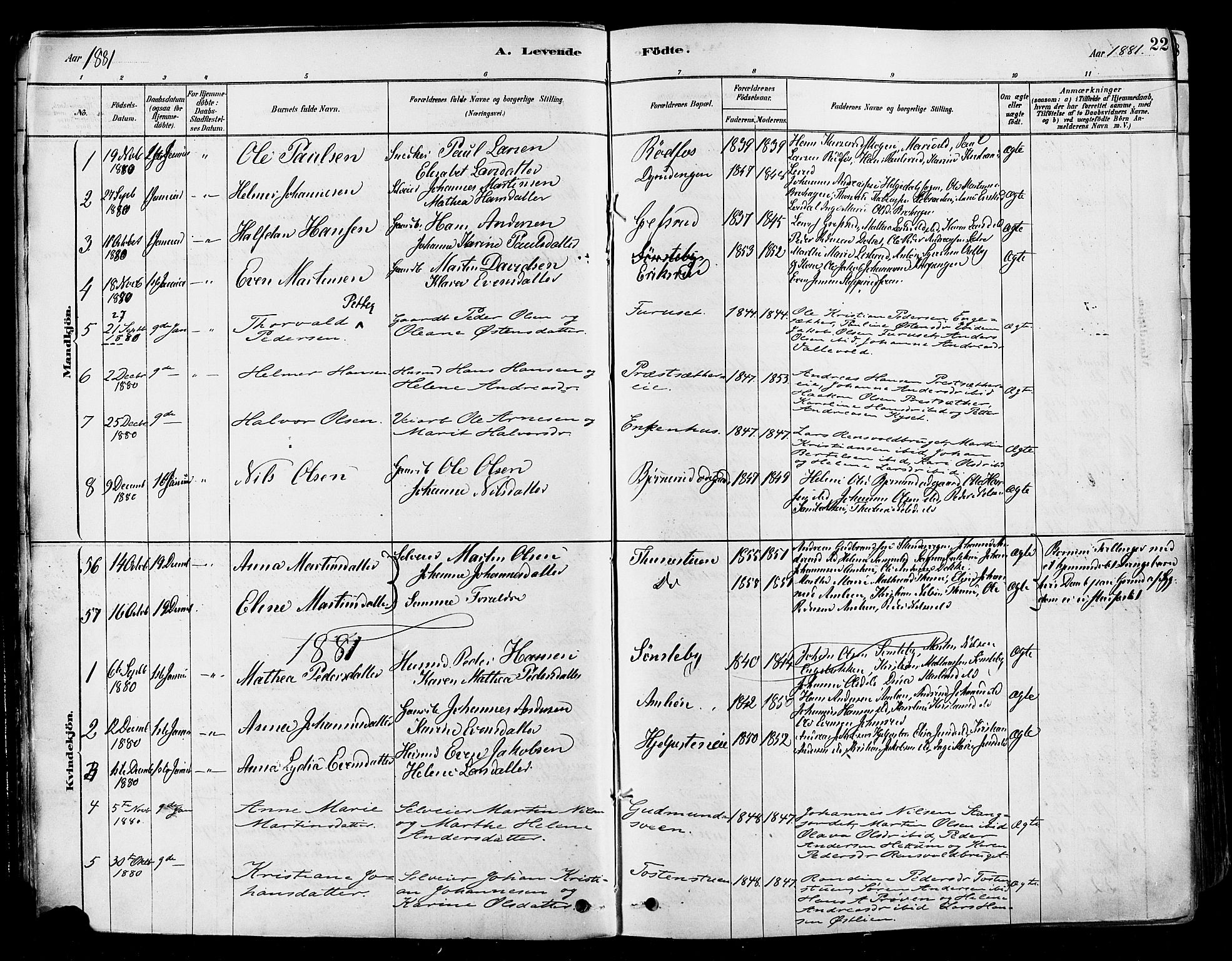 Vestre Toten prestekontor, SAH/PREST-108/H/Ha/Haa/L0009: Parish register (official) no. 9, 1878-1894, p. 22