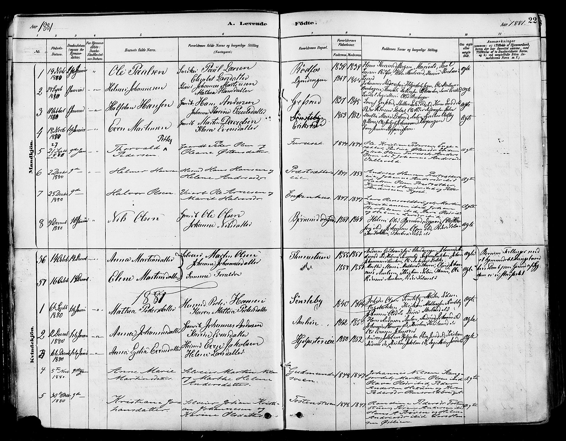 Vestre Toten prestekontor, AV/SAH-PREST-108/H/Ha/Haa/L0009: Parish register (official) no. 9, 1878-1894, p. 22