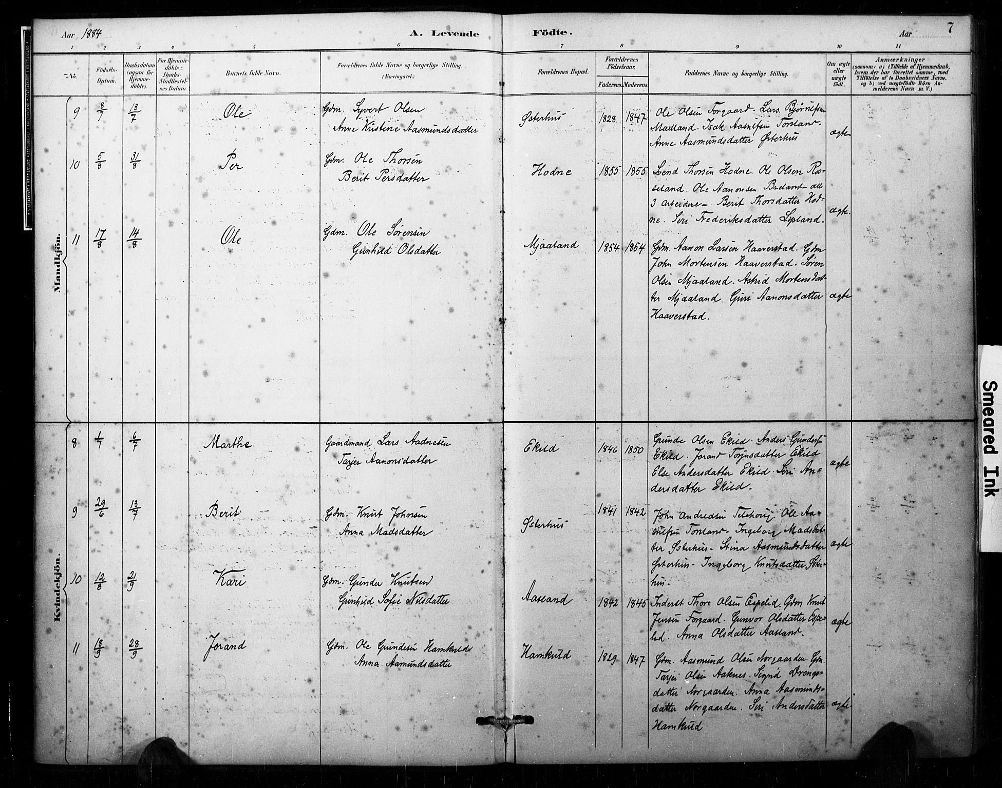 Åseral sokneprestkontor, AV/SAK-1111-0051/F/Fa/L0003: Parish register (official) no. A 3, 1884-1901, p. 7