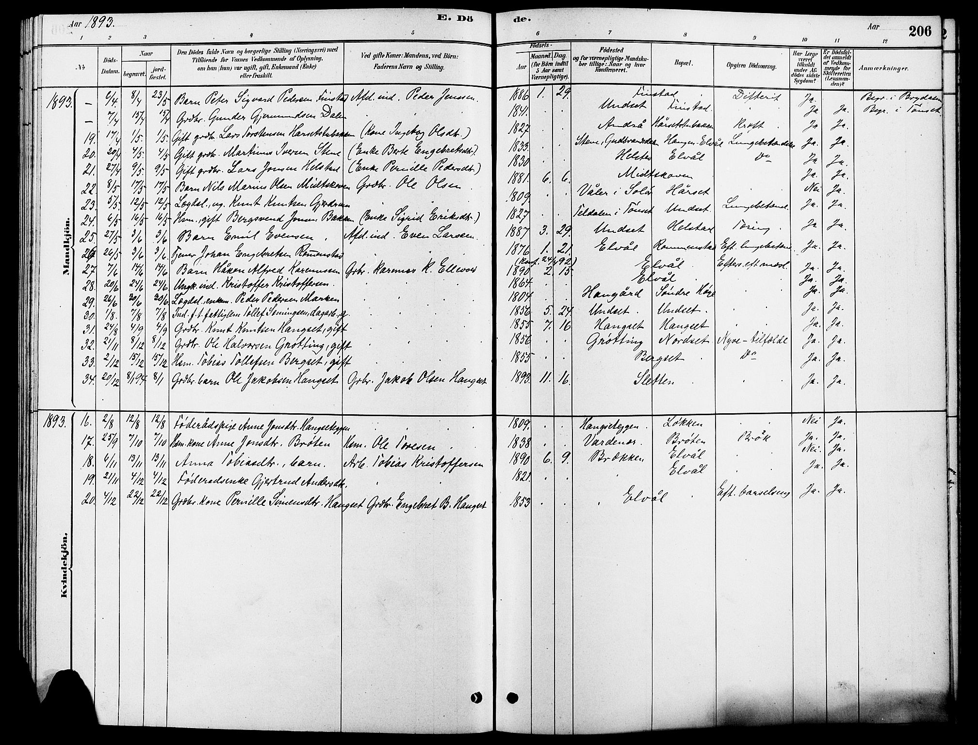 Rendalen prestekontor, SAH/PREST-054/H/Ha/Hab/L0003: Parish register (copy) no. 3, 1879-1904, p. 206
