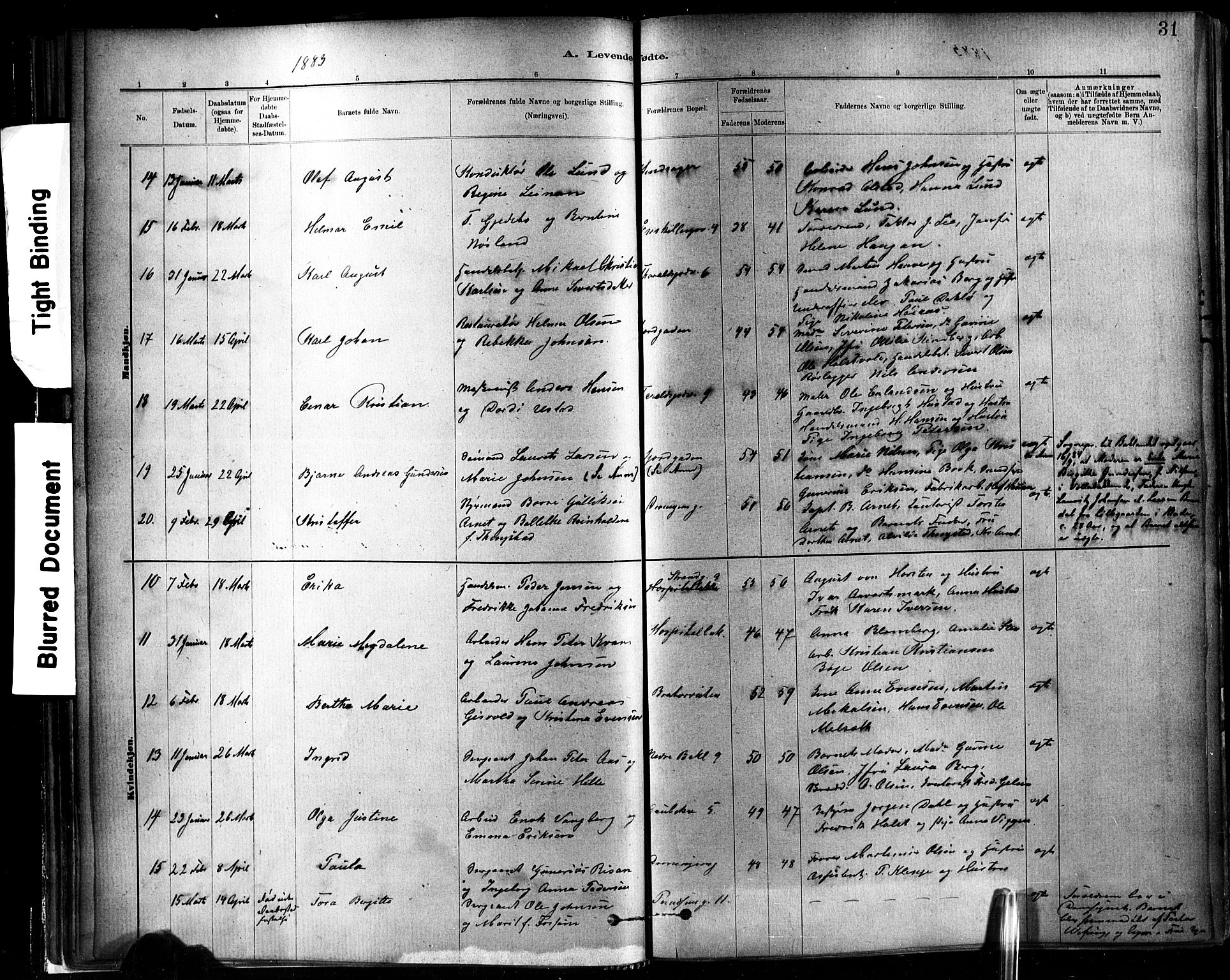 Ministerialprotokoller, klokkerbøker og fødselsregistre - Sør-Trøndelag, SAT/A-1456/602/L0119: Parish register (official) no. 602A17, 1880-1901, p. 31