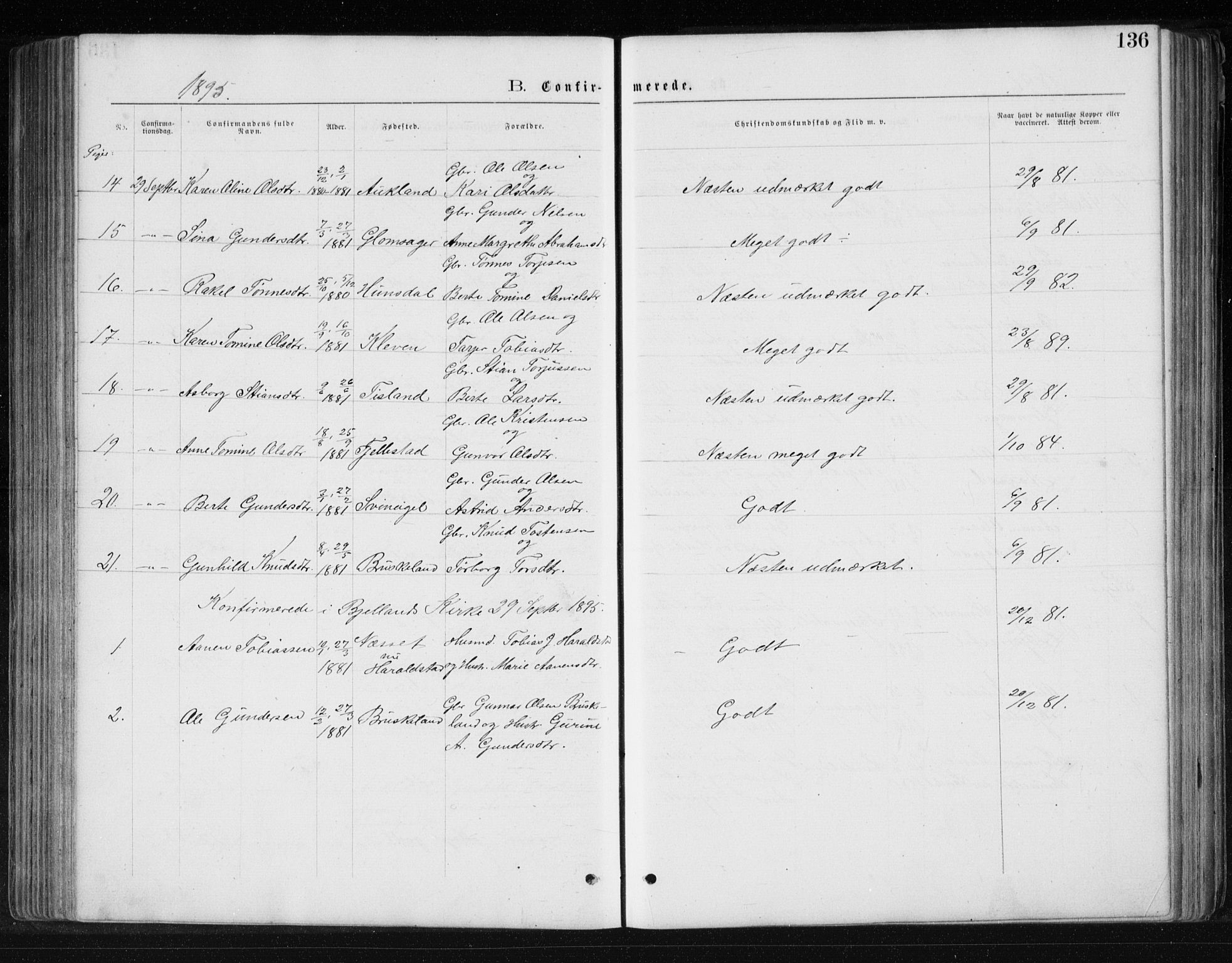 Holum sokneprestkontor, SAK/1111-0022/F/Fb/Fbb/L0003: Parish register (copy) no. B 3, 1875-1898, p. 136