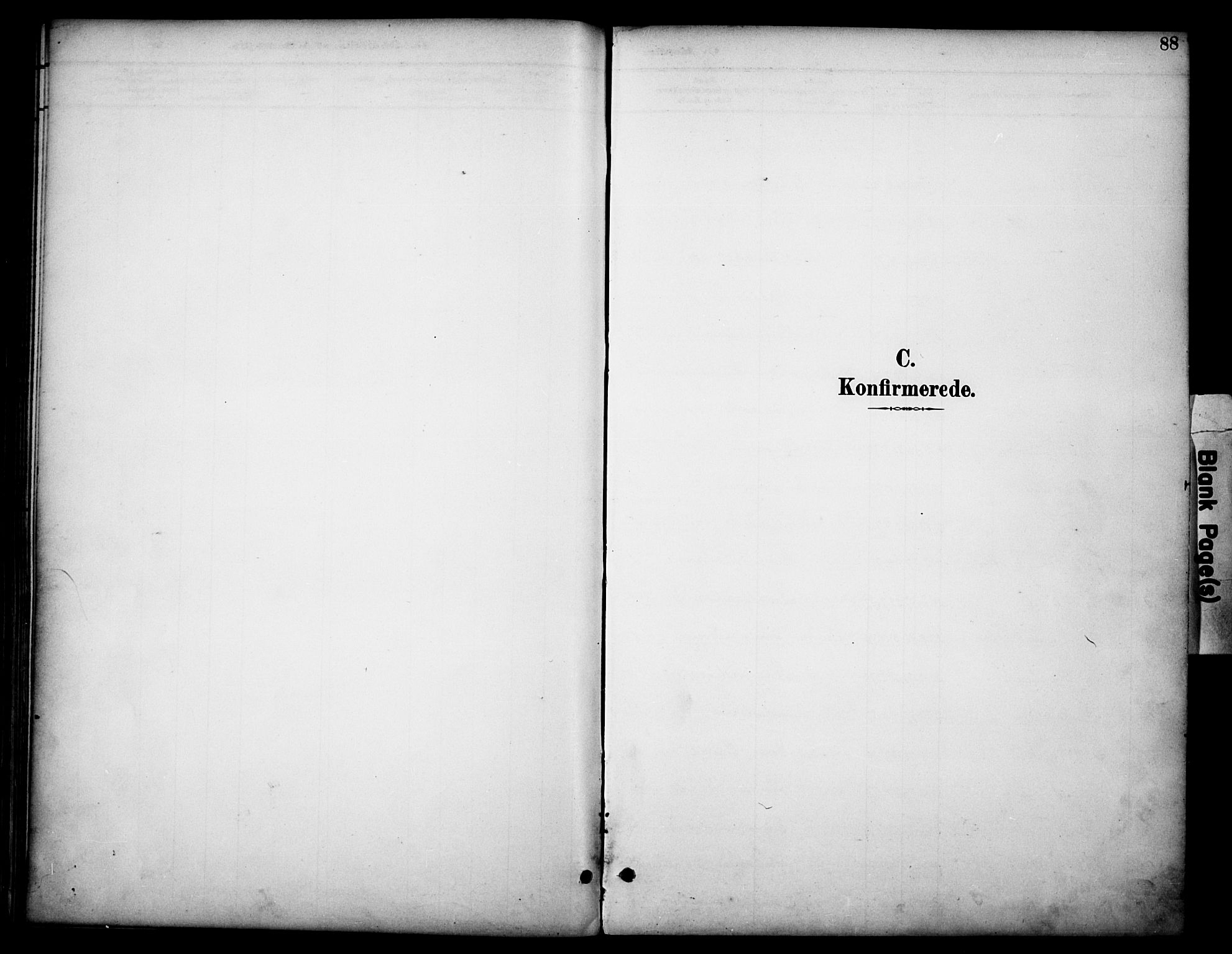 Dovre prestekontor, SAH/PREST-066/H/Ha/Haa/L0003: Parish register (official) no. 3, 1891-1901, p. 88