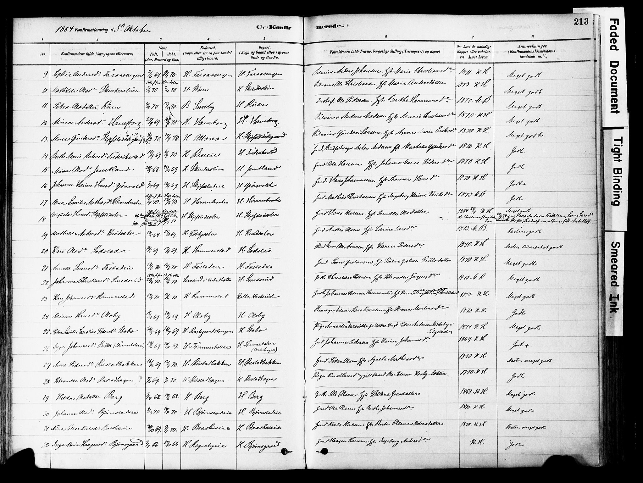 Østre Toten prestekontor, SAH/PREST-104/H/Ha/Haa/L0006: Parish register (official) no. 6 /1, 1878-1896, p. 213