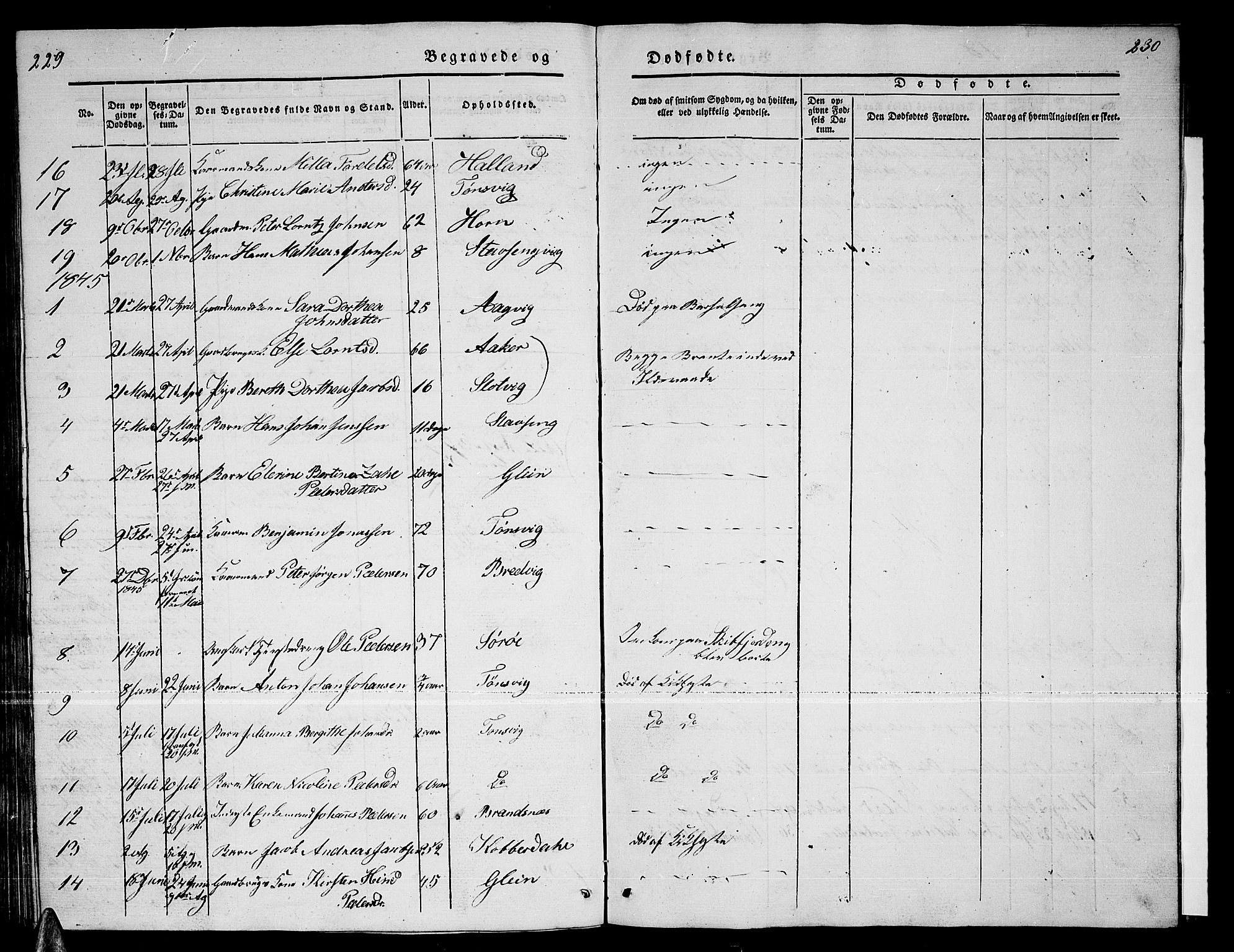 Ministerialprotokoller, klokkerbøker og fødselsregistre - Nordland, AV/SAT-A-1459/835/L0530: Parish register (copy) no. 835C02, 1842-1865, p. 229-230