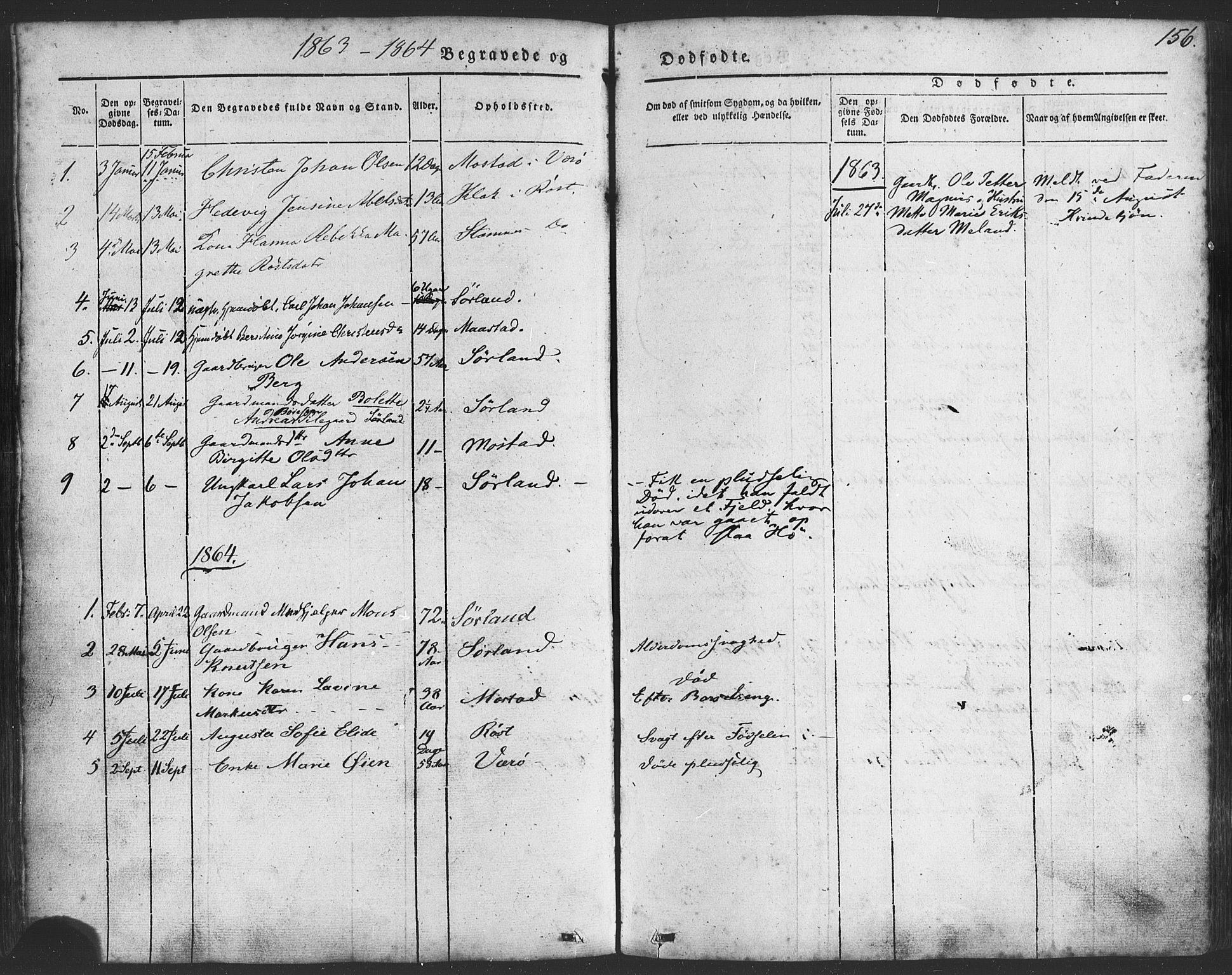 Ministerialprotokoller, klokkerbøker og fødselsregistre - Nordland, AV/SAT-A-1459/807/L0121: Parish register (official) no. 807A04, 1846-1879, p. 156