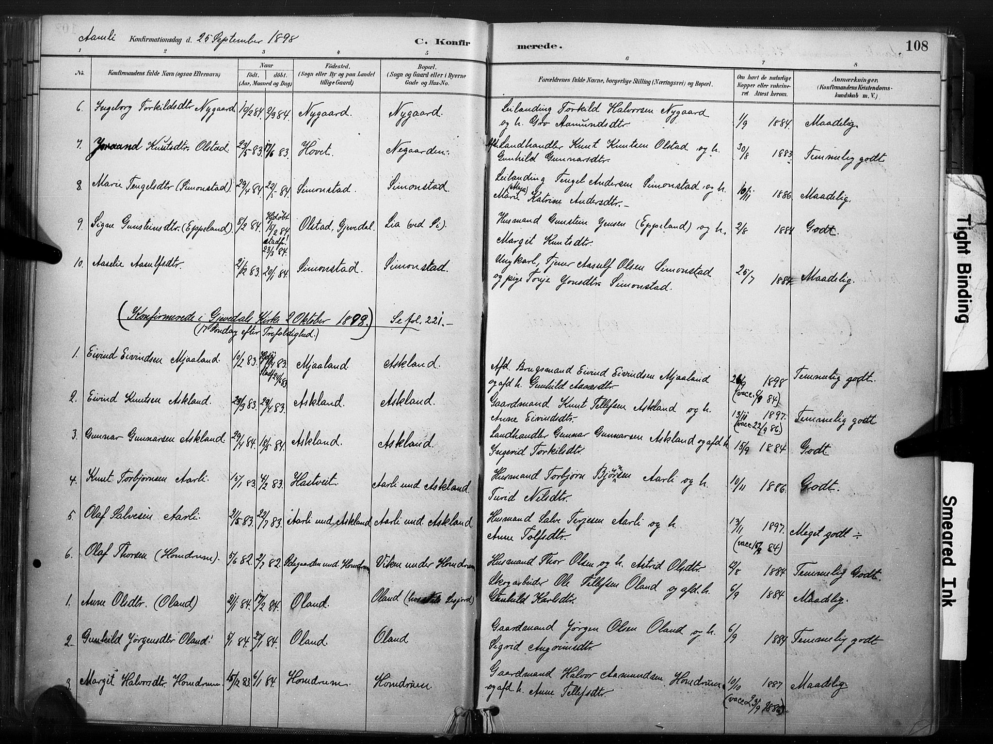 Åmli sokneprestkontor, AV/SAK-1111-0050/F/Fa/Fac/L0010: Parish register (official) no. A 10 /1, 1885-1899, p. 108