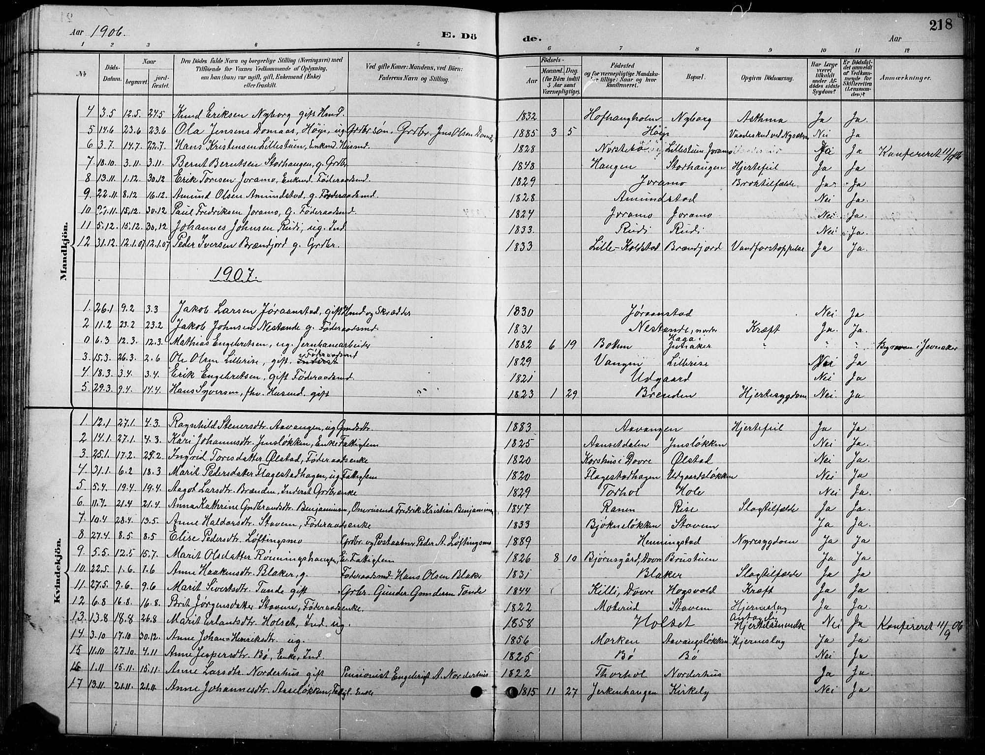 Lesja prestekontor, SAH/PREST-068/H/Ha/Hab/L0007: Parish register (copy) no. 7, 1895-1919, p. 218