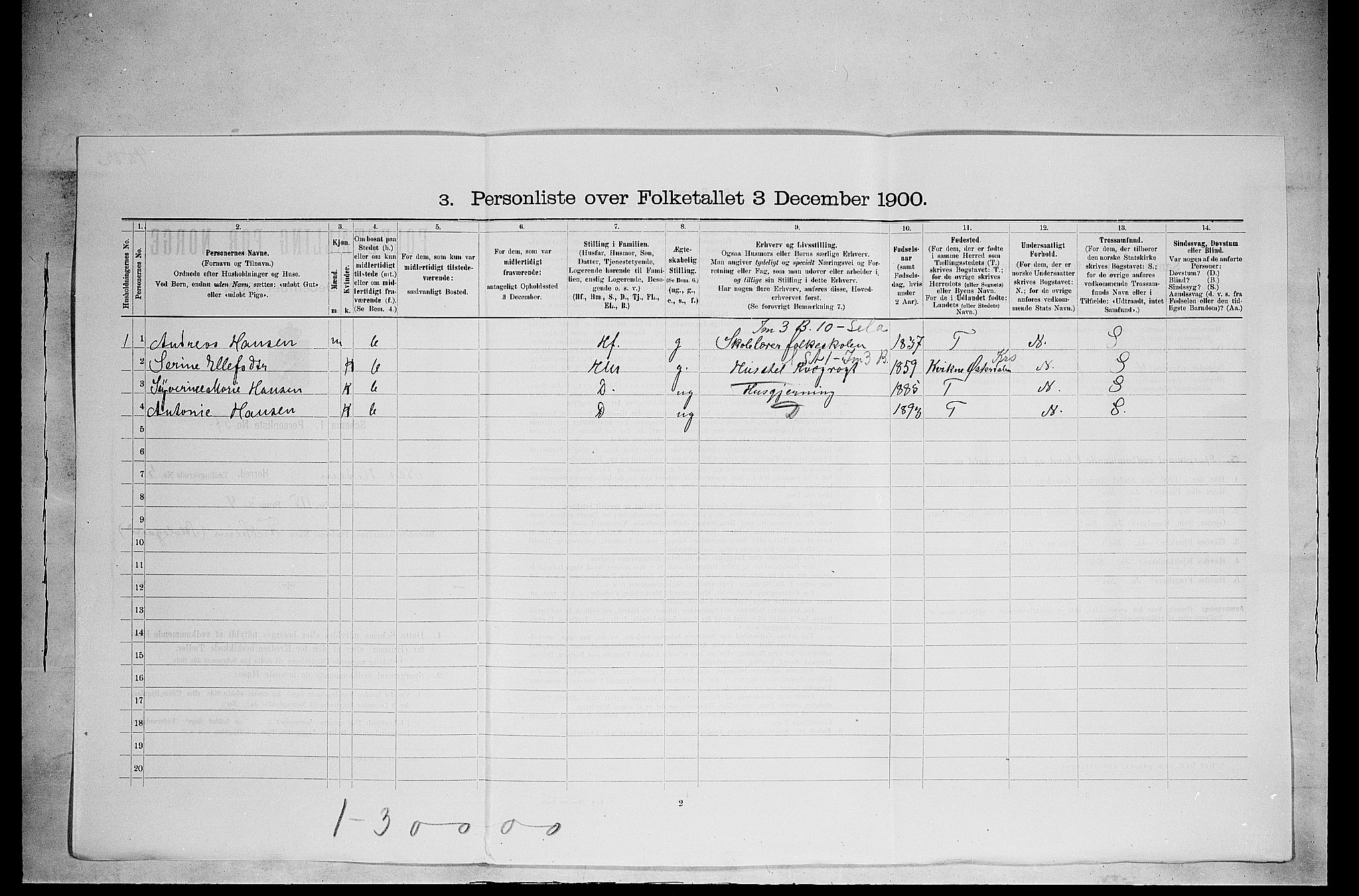 SAH, 1900 census for Nes, 1900, p. 817