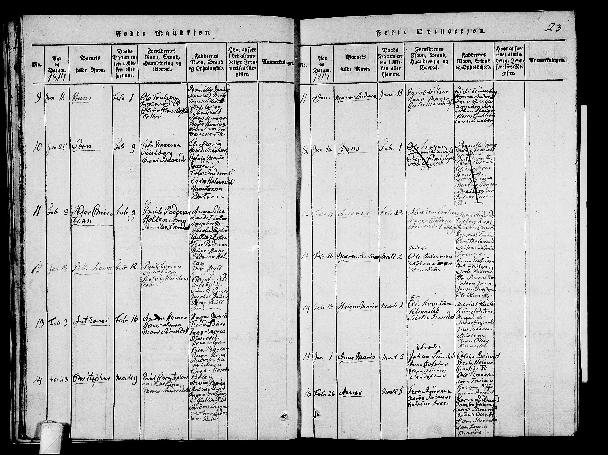 Sandar kirkebøker, AV/SAKO-A-243/G/Ga/L0001: Parish register (copy) no. 1, 1814-1835, p. 23