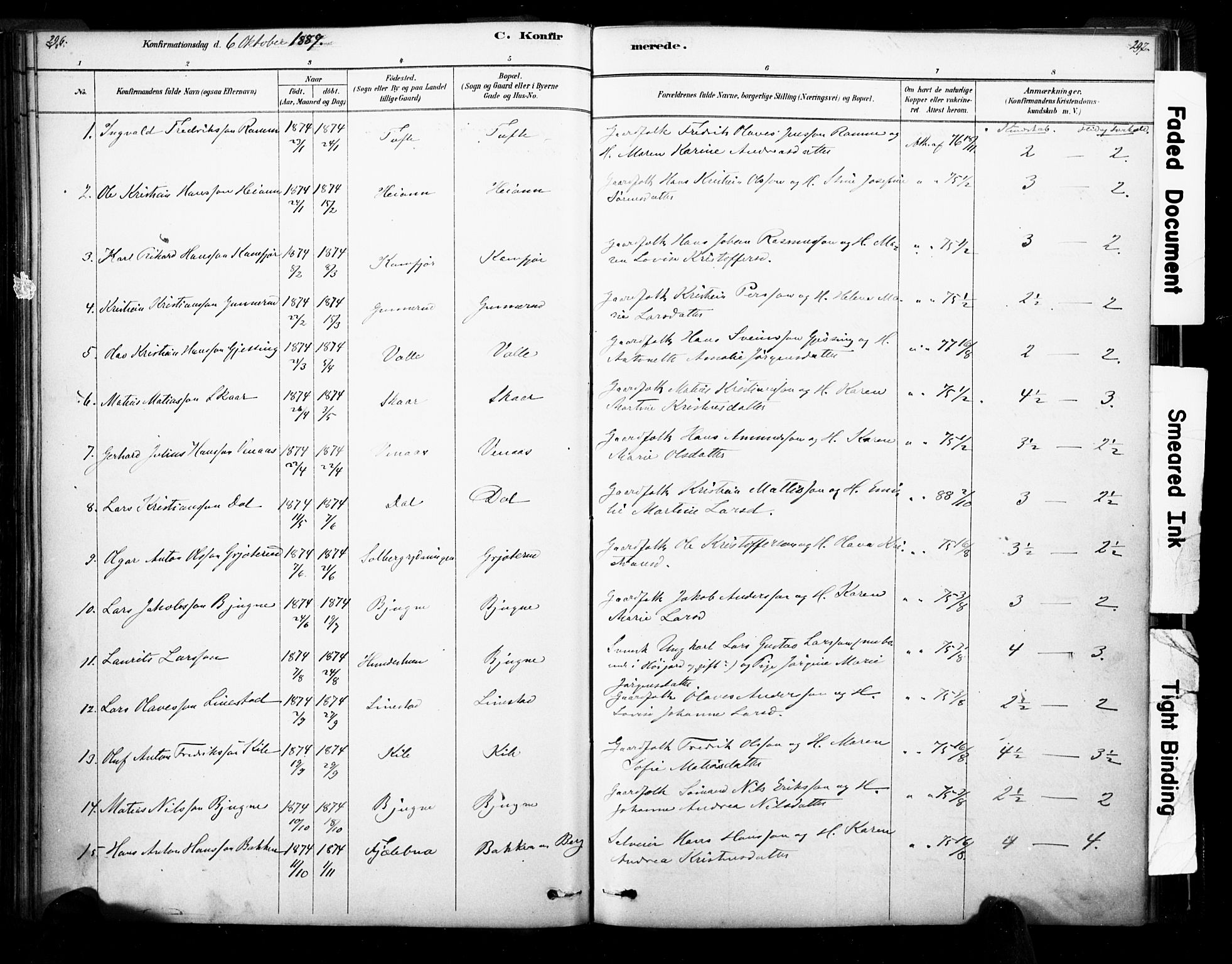 Ramnes kirkebøker, SAKO/A-314/F/Fa/L0007: Parish register (official) no. I 7, 1878-1895, p. 296-297