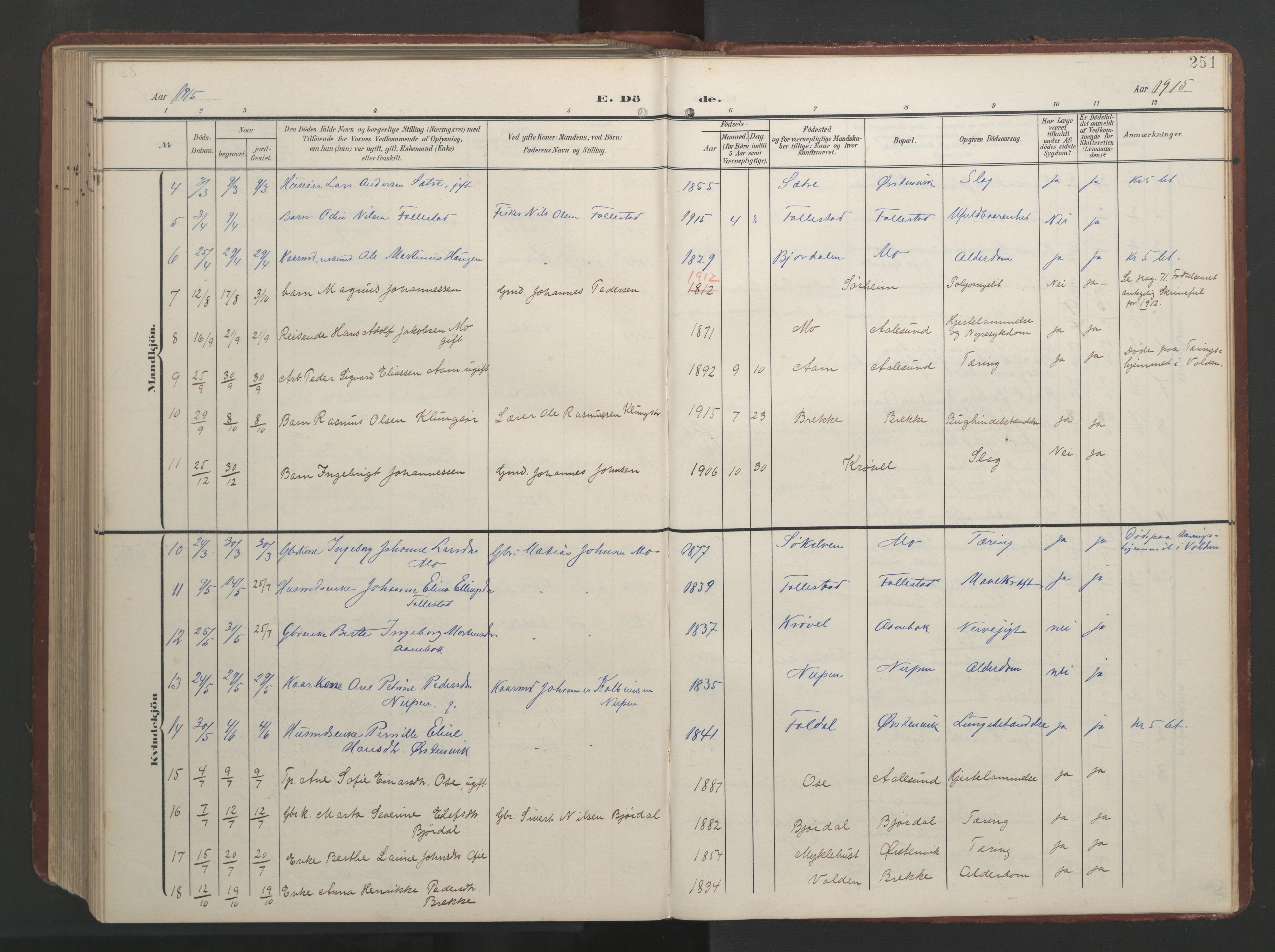 Ministerialprotokoller, klokkerbøker og fødselsregistre - Møre og Romsdal, AV/SAT-A-1454/513/L0190: Parish register (copy) no. 513C04, 1904-1926, p. 251