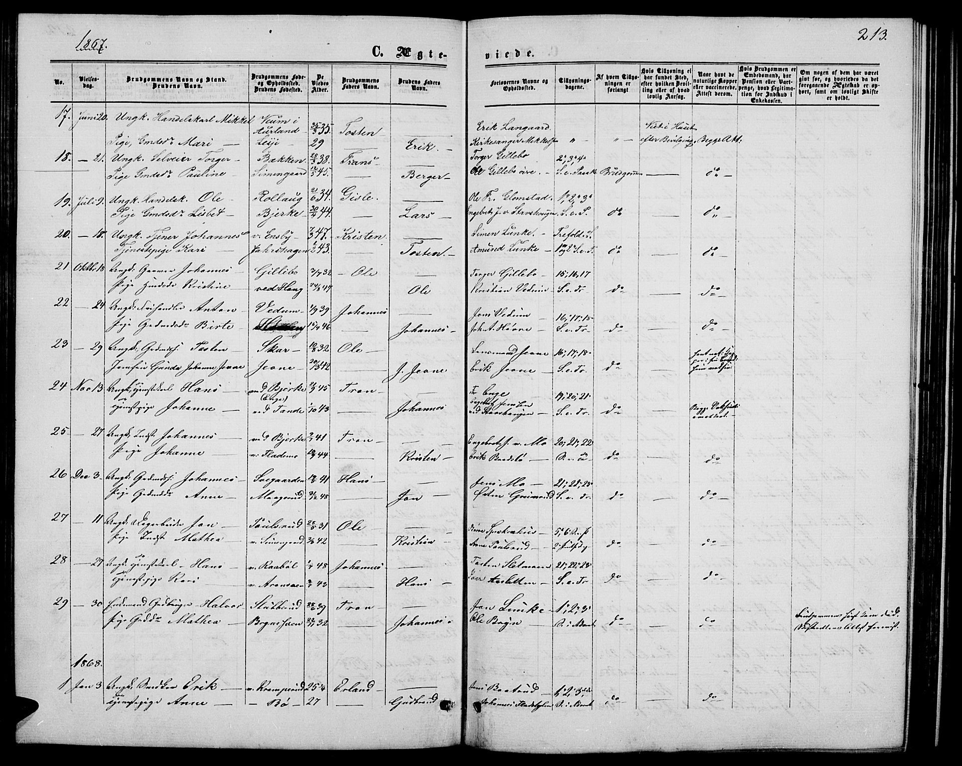 Øyer prestekontor, SAH/PREST-084/H/Ha/Hab/L0001: Parish register (copy) no. 1, 1863-1877, p. 213