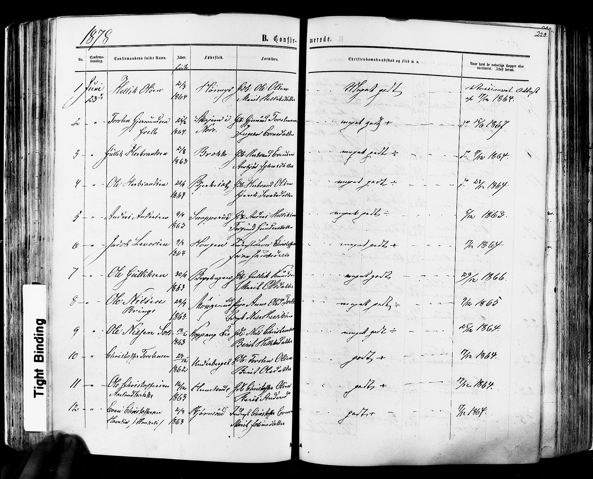 Flesberg kirkebøker, AV/SAKO-A-18/F/Fa/L0007: Parish register (official) no. I 7, 1861-1878, p. 220