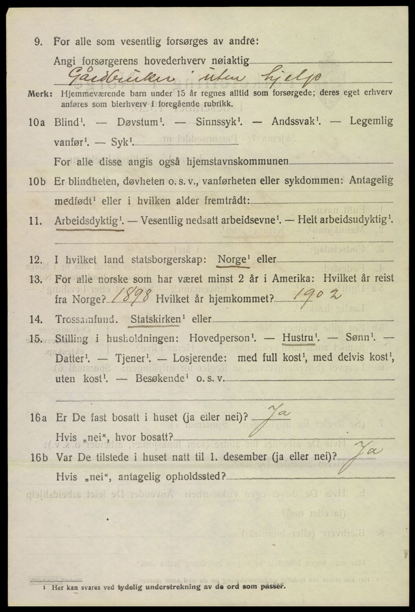 SAH, 1920 census for Lom, 1920, p. 5095