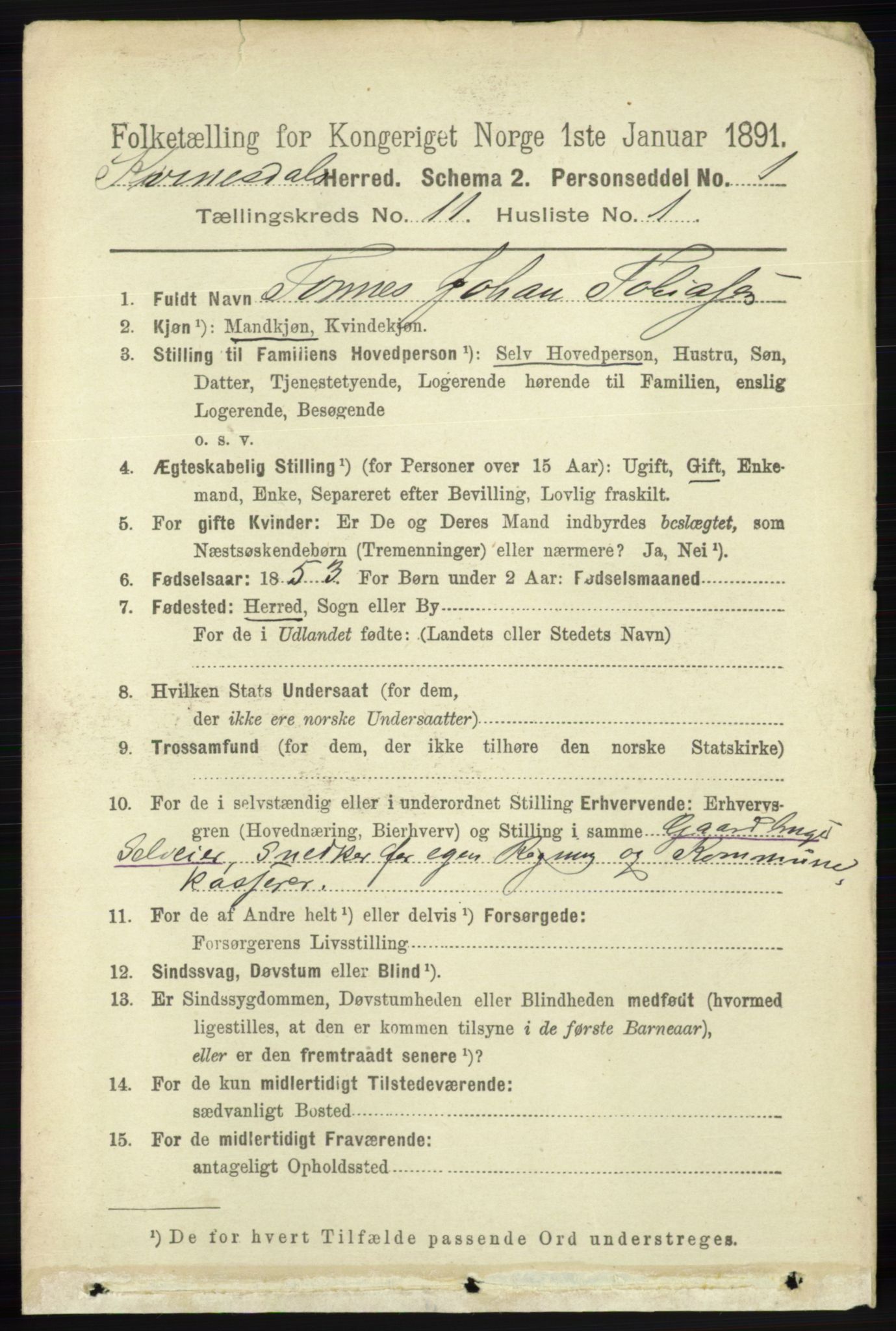 RA, 1891 census for 1037 Kvinesdal, 1891, p. 4505