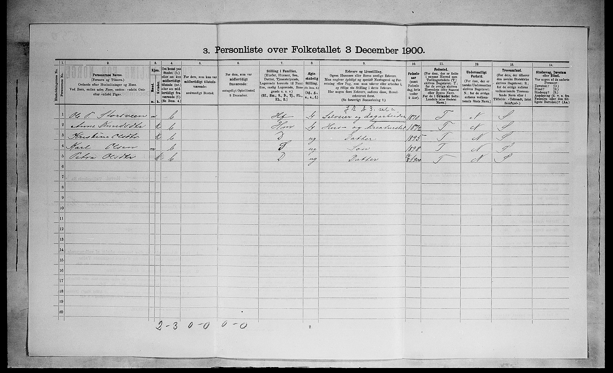 SAH, 1900 census for Furnes, 1900, p. 599