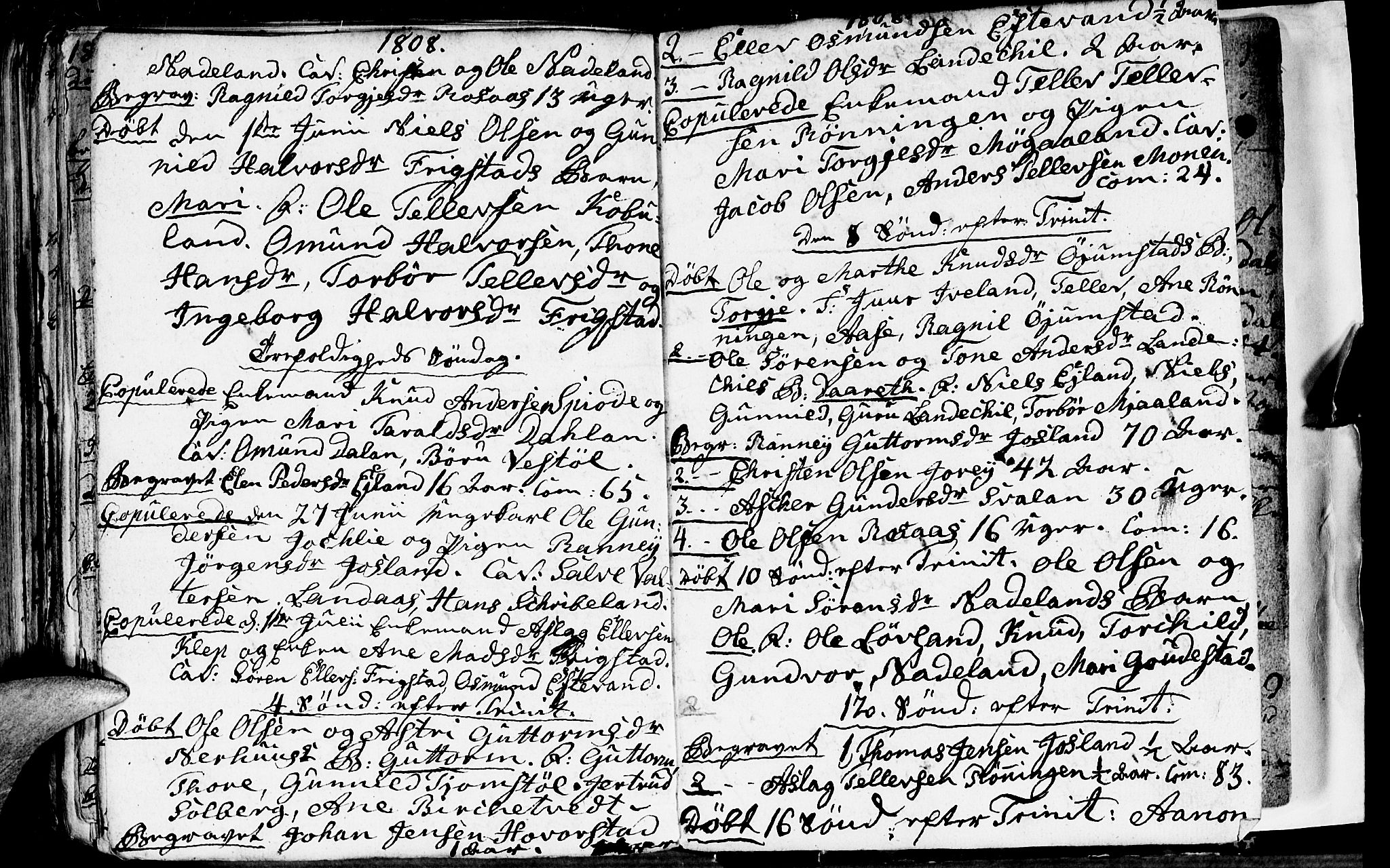 Evje sokneprestkontor, AV/SAK-1111-0008/F/Fa/Fac/L0002: Parish register (official) no. A 2, 1765-1816, p. 156