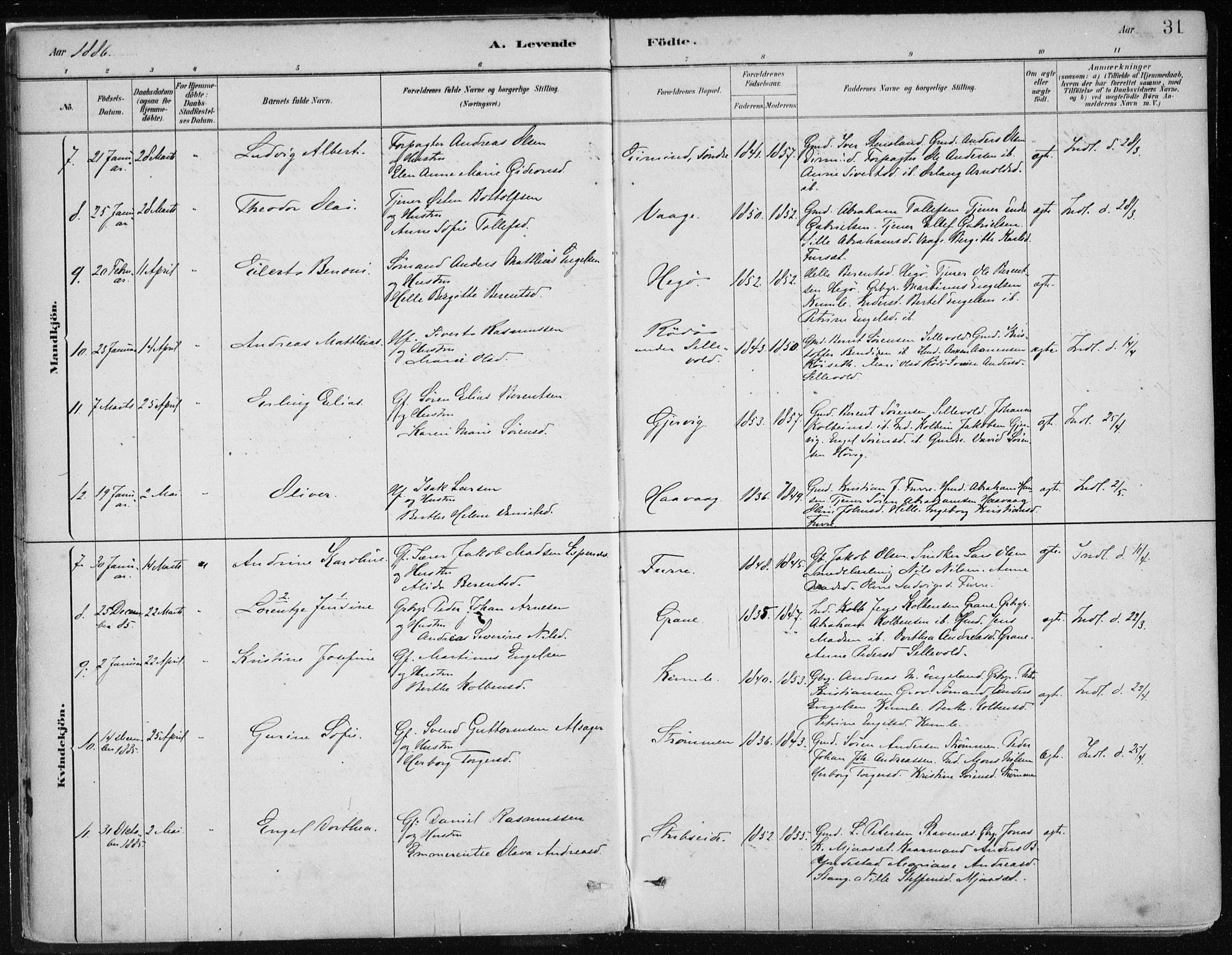 Askvoll sokneprestembete, AV/SAB-A-79501/H/Haa/Haab/L0002: Parish register (official) no. B 2, 1879-1909, p. 31