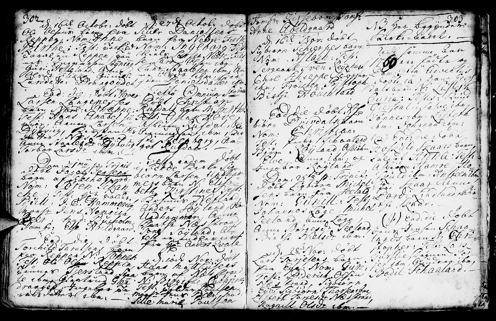 Lund sokneprestkontor, AV/SAST-A-101809/S06/L0002: Parish register (official) no. A 2, 1738-1760, p. 302-303