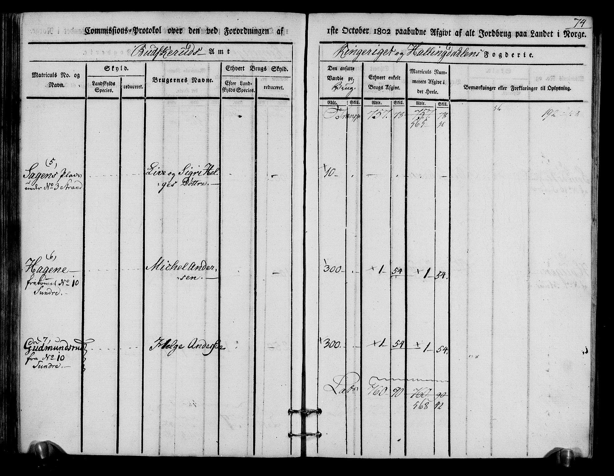 Rentekammeret inntil 1814, Realistisk ordnet avdeling, AV/RA-EA-4070/N/Ne/Nea/L0048: Ringerike og Hallingdal fogderi. Kommisjonsprotokoll for Ål prestegjeld, 1803, p. 78