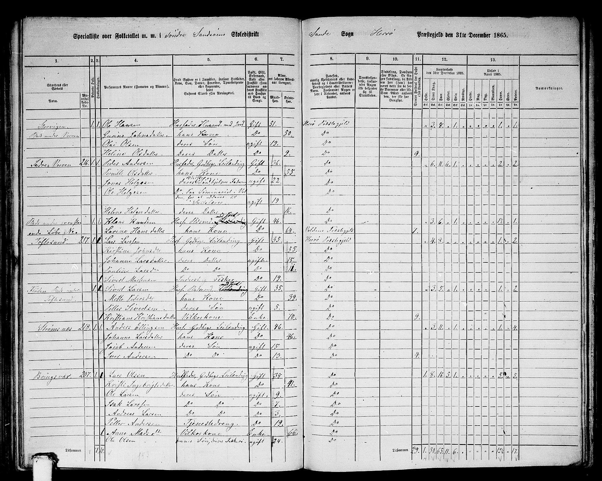 RA, 1865 census for Herøy, 1865, p. 159