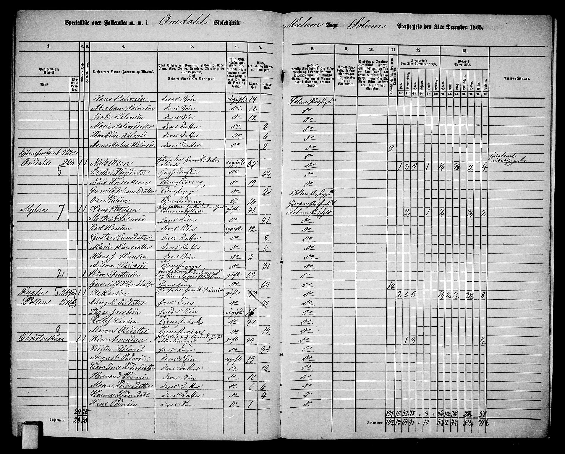 RA, 1865 census for Solum, 1865, p. 209