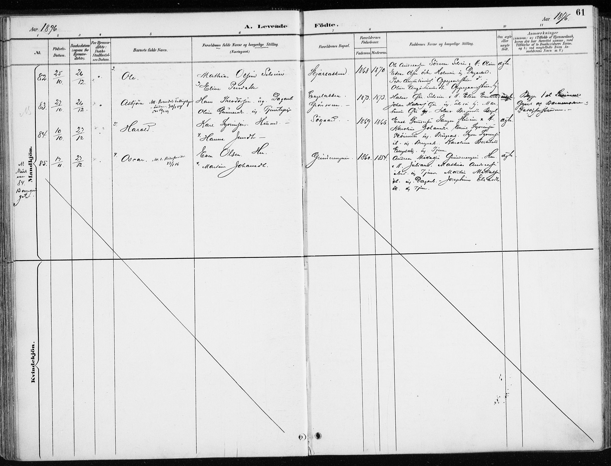 Løten prestekontor, AV/SAH-PREST-022/K/Ka/L0010: Parish register (official) no. 10, 1892-1907, p. 61