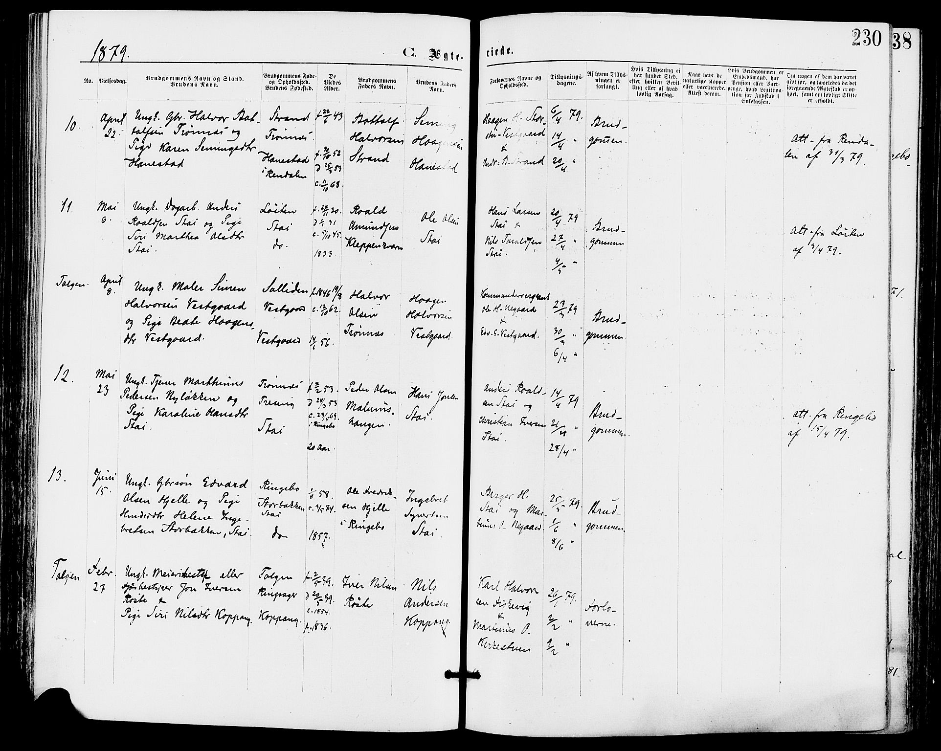 Stor-Elvdal prestekontor, AV/SAH-PREST-052/H/Ha/Haa/L0001: Parish register (official) no. 1, 1871-1882, p. 230