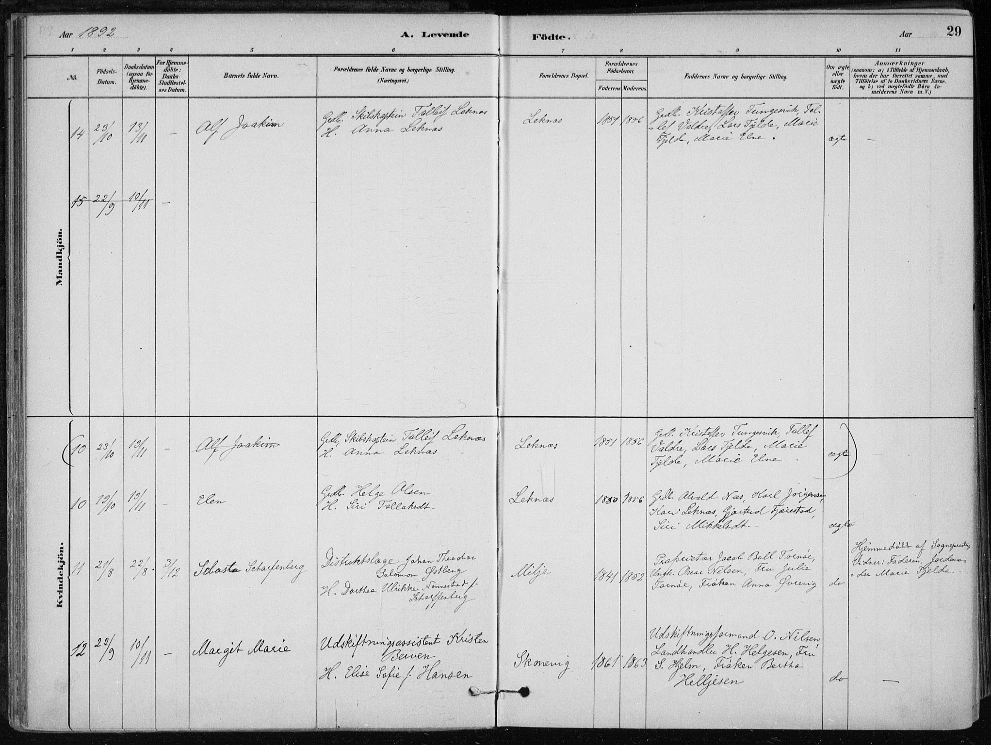 Skånevik sokneprestembete, SAB/A-77801/H/Haa: Parish register (official) no. B 1, 1879-1914, p. 29