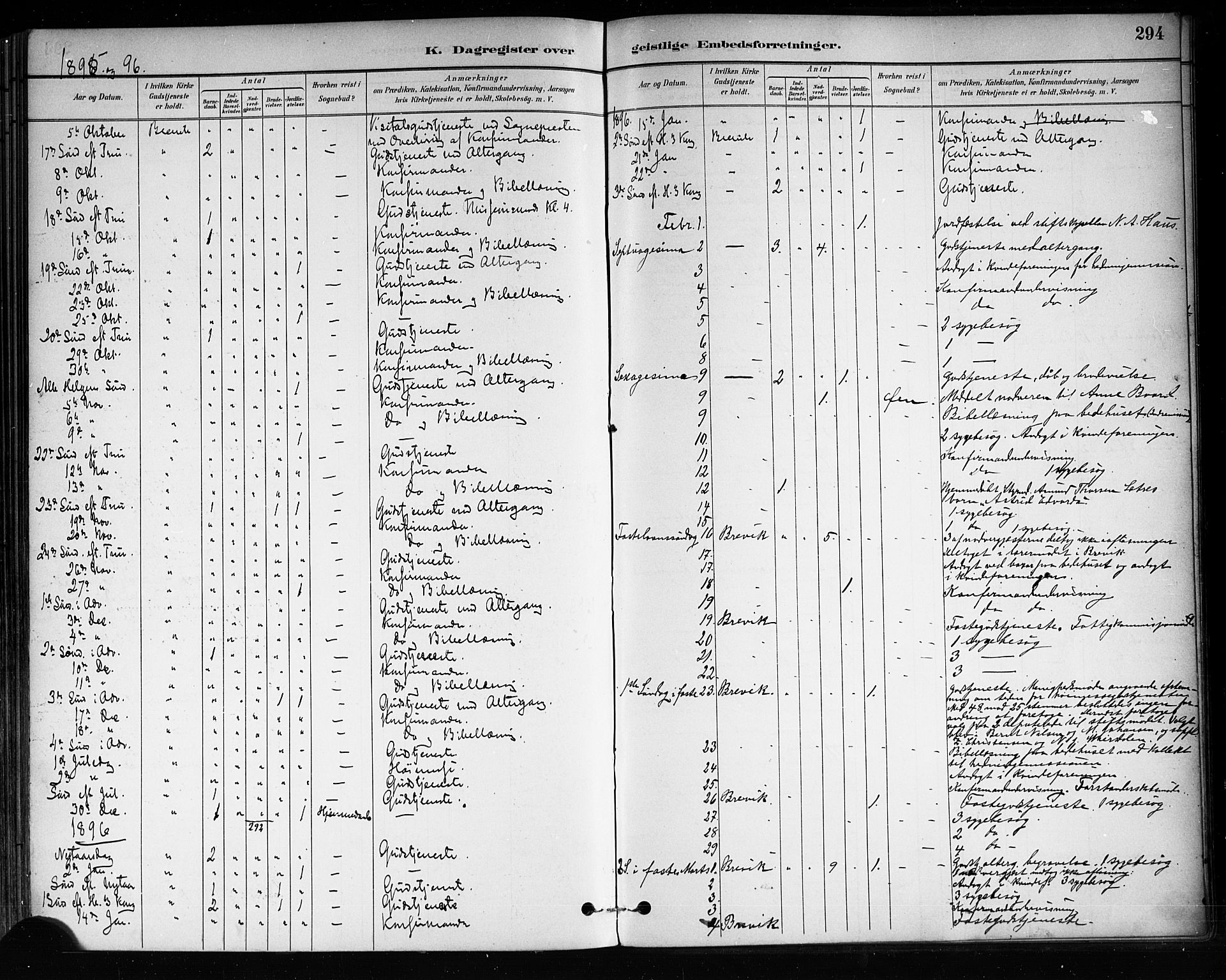 Brevik kirkebøker, SAKO/A-255/F/Fa/L0007: Parish register (official) no. 7, 1882-1900, p. 294