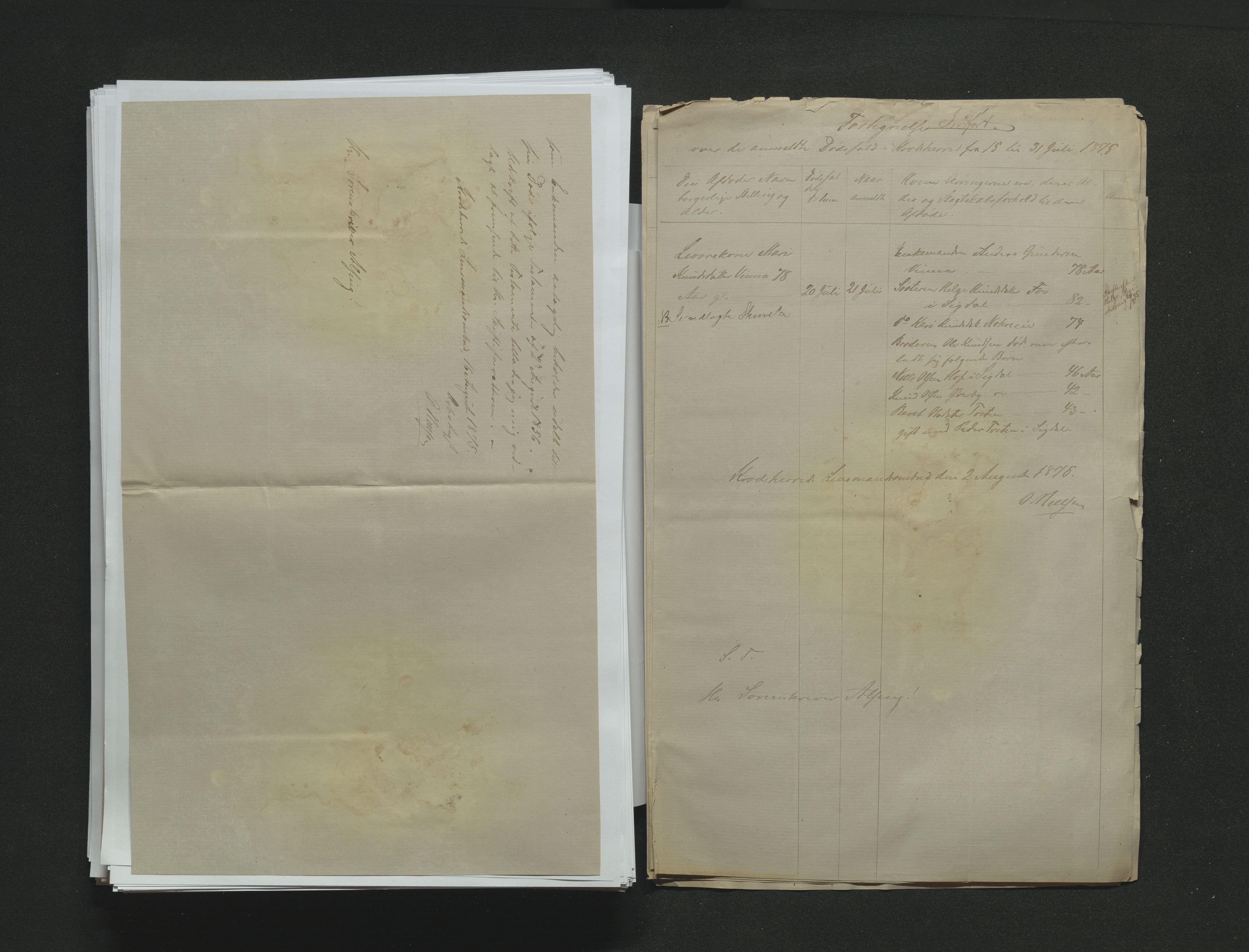 Eiker, Modum og Sigdal sorenskriveri, AV/SAKO-A-123/H/Ha/Hab/L0014: Dødsfallsmeldinger, 1874-1877, p. 342