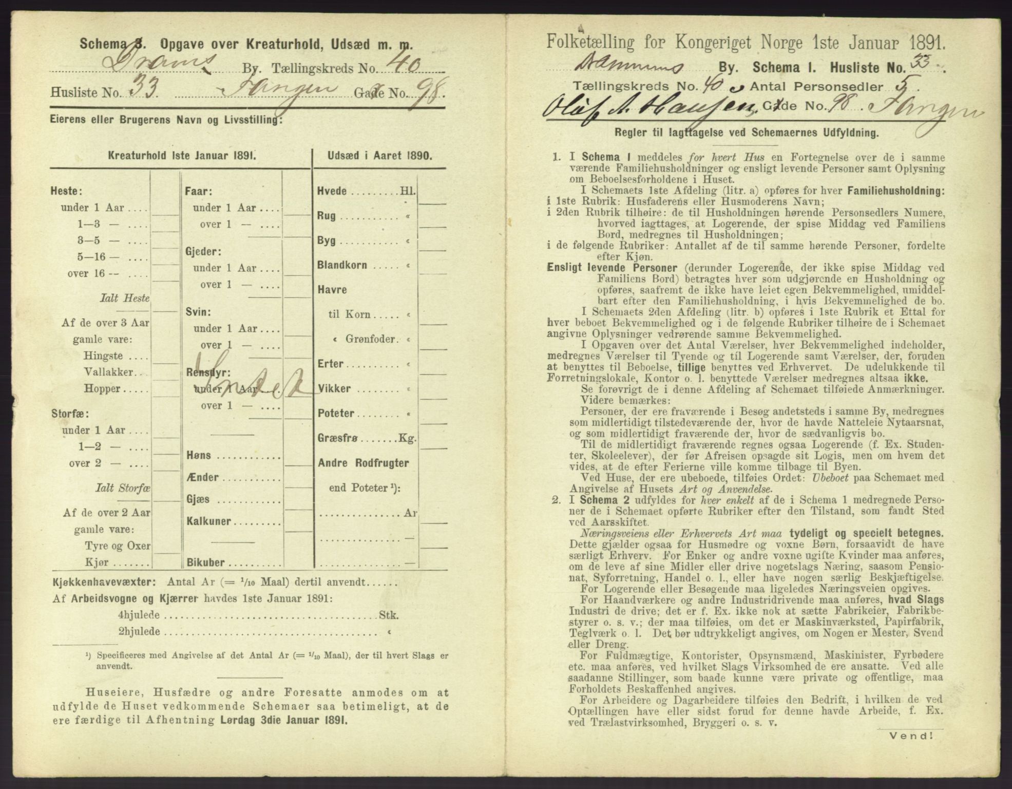 RA, 1891 census for 0602 Drammen, 1891, p. 3625