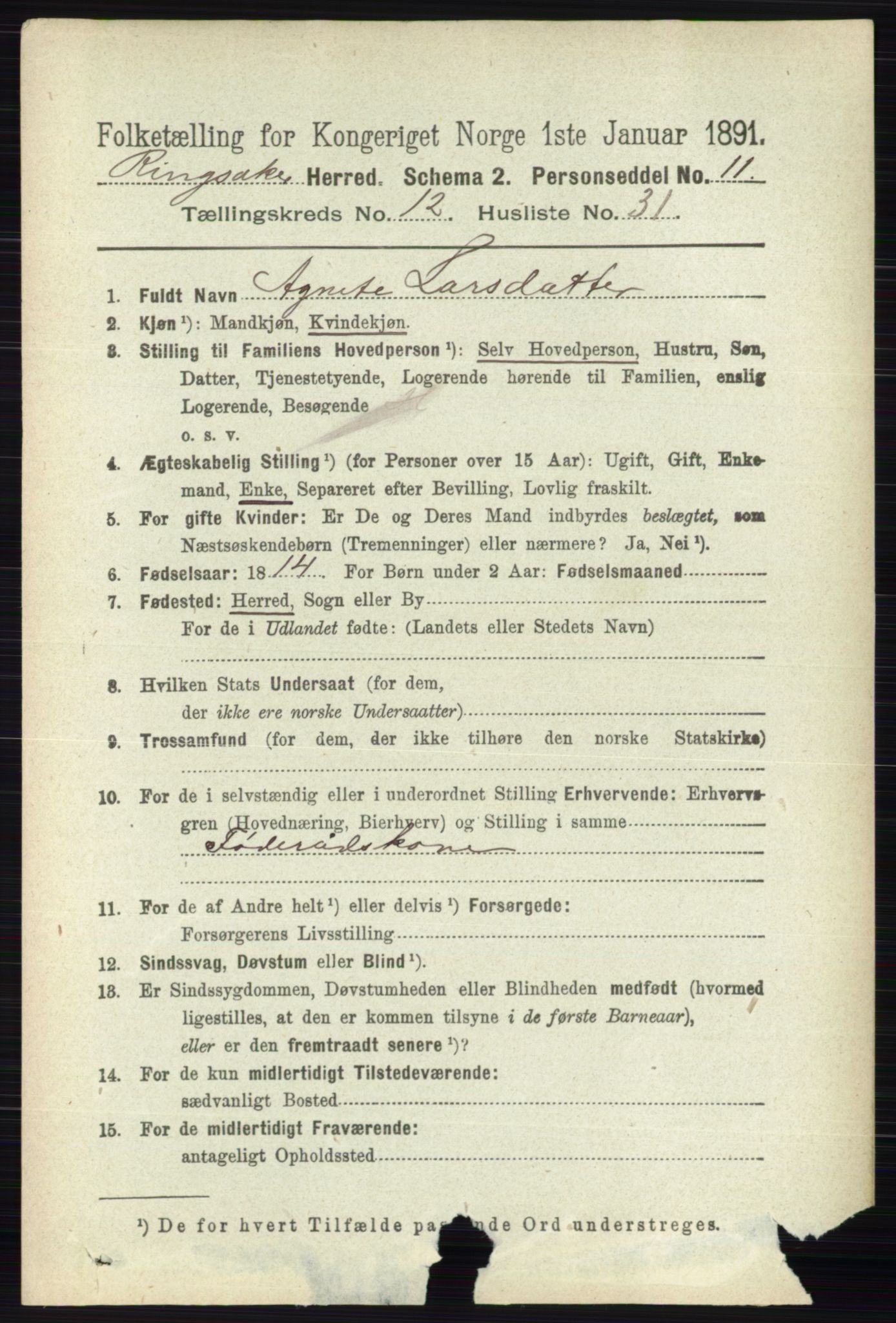 RA, 1891 census for 0412 Ringsaker, 1891, p. 6927