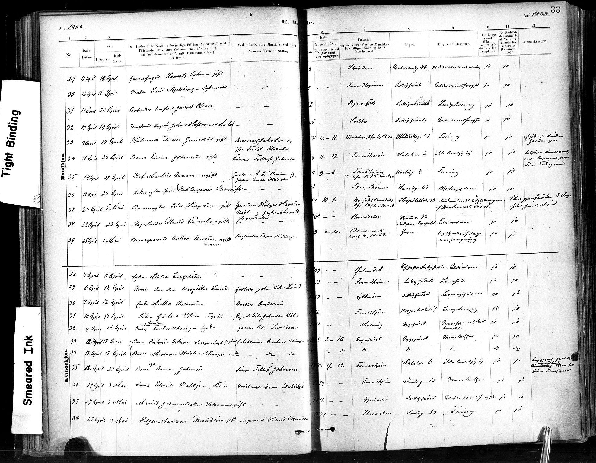 Ministerialprotokoller, klokkerbøker og fødselsregistre - Sør-Trøndelag, SAT/A-1456/602/L0120: Parish register (official) no. 602A18, 1880-1913, p. 33