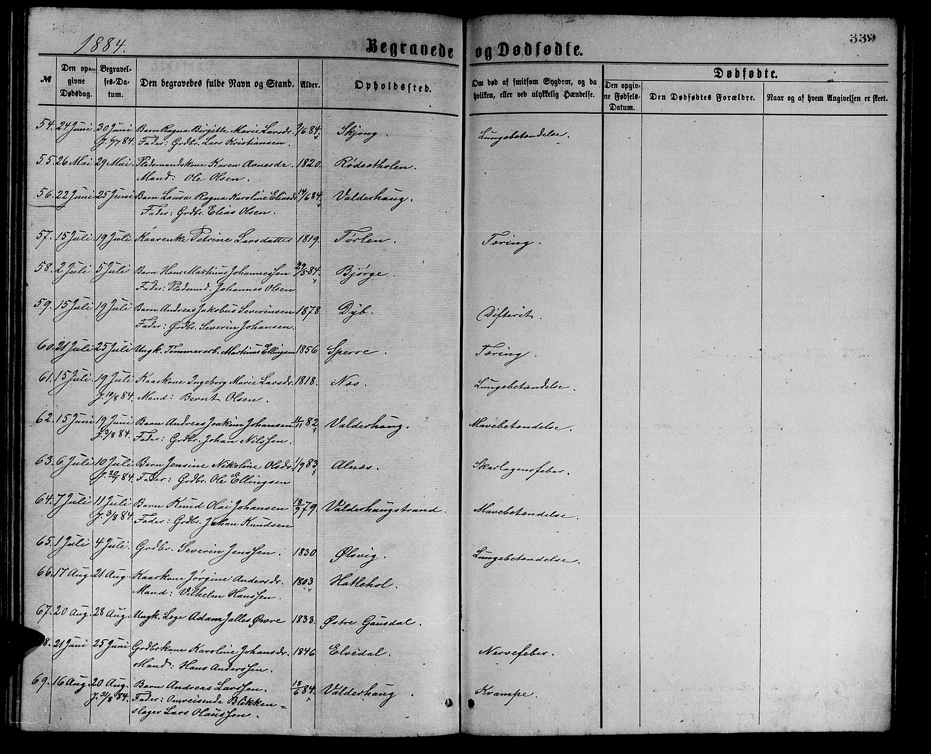 Ministerialprotokoller, klokkerbøker og fødselsregistre - Møre og Romsdal, AV/SAT-A-1454/528/L0429: Parish register (copy) no. 528C10, 1872-1886, p. 339