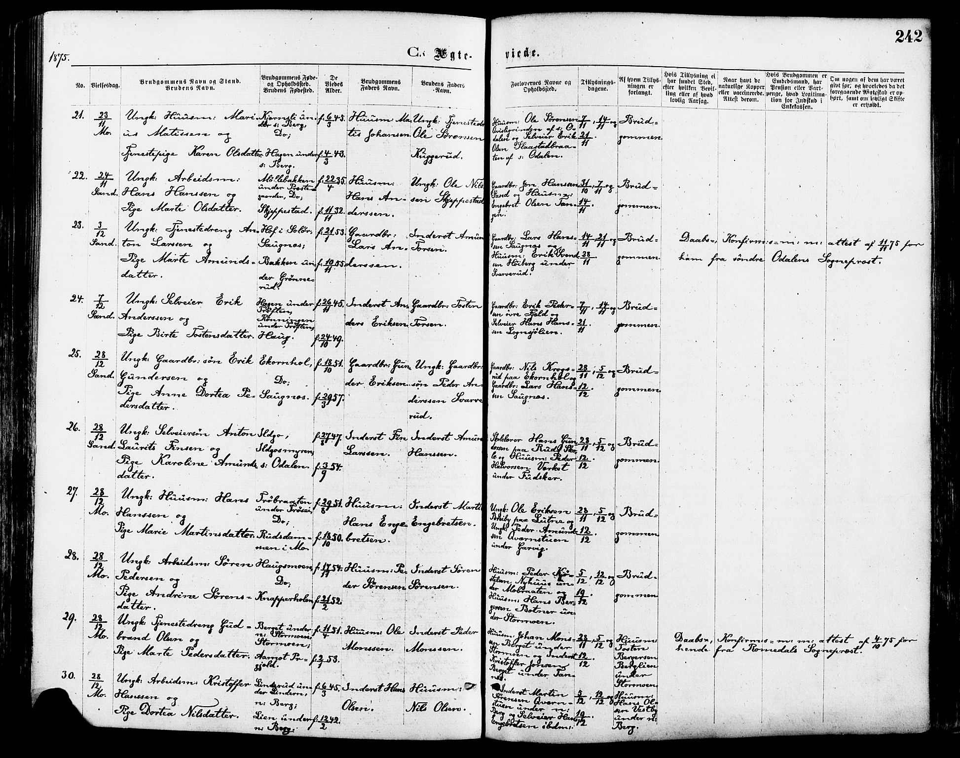 Nord-Odal prestekontor, AV/SAH-PREST-032/H/Ha/Haa/L0005: Parish register (official) no. 5, 1874-1885, p. 242