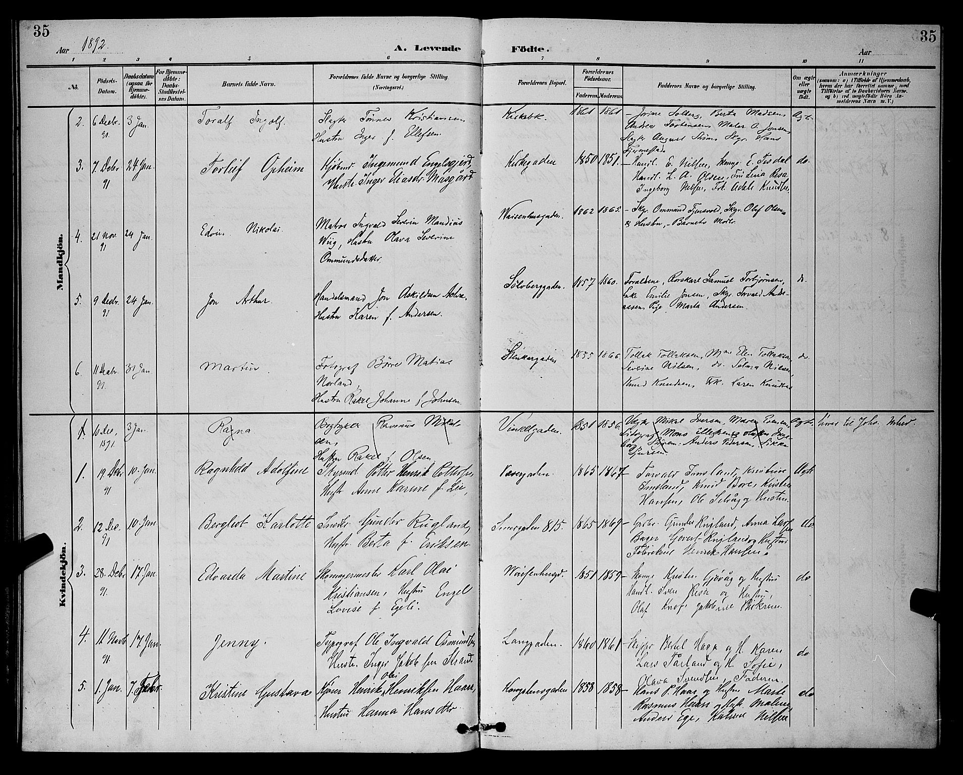 St. Petri sokneprestkontor, AV/SAST-A-101813/001/30/30BB/L0006: Parish register (copy) no. B 6, 1890-1897, p. 35