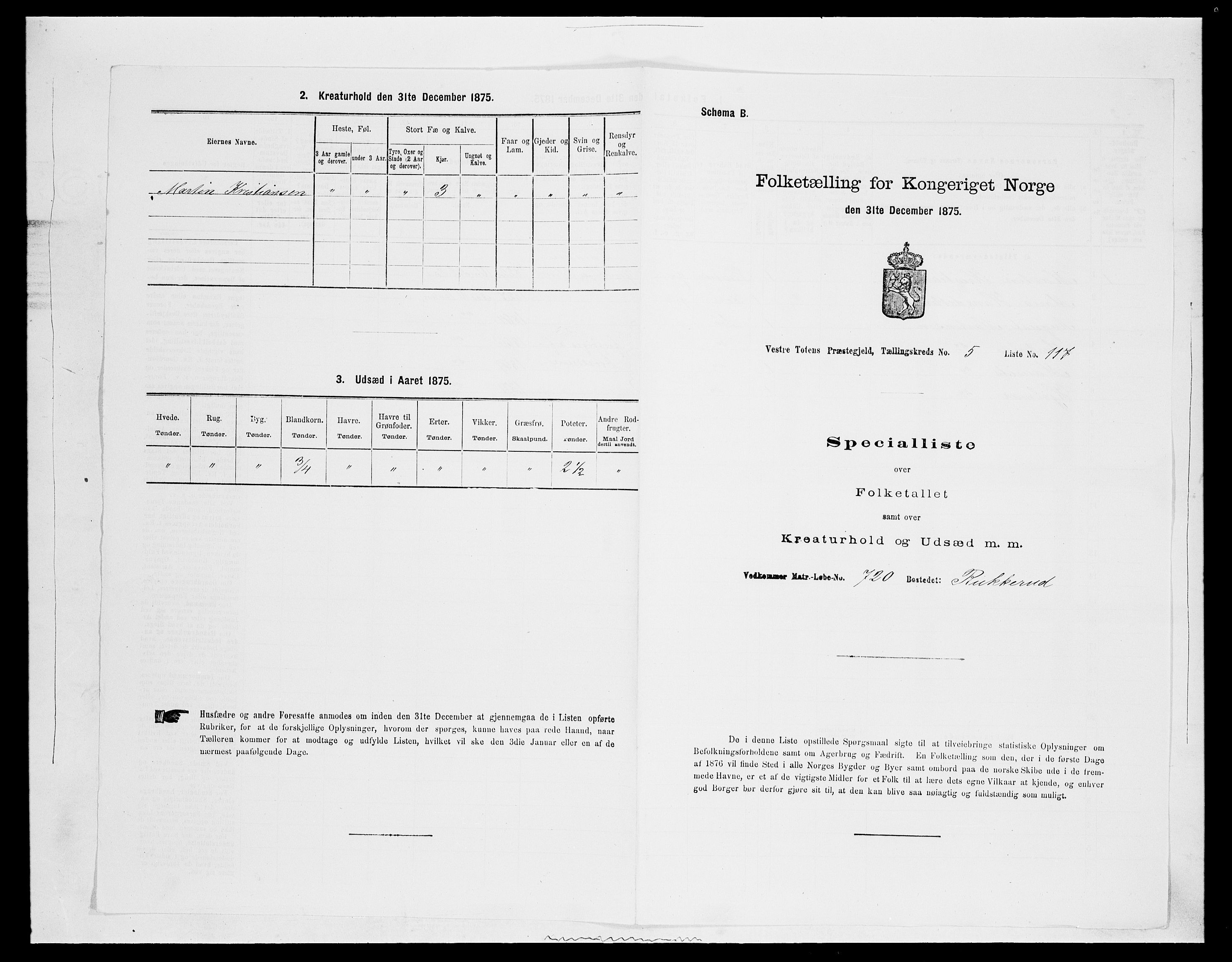 SAH, 1875 census for 0529P Vestre Toten, 1875, p. 1138